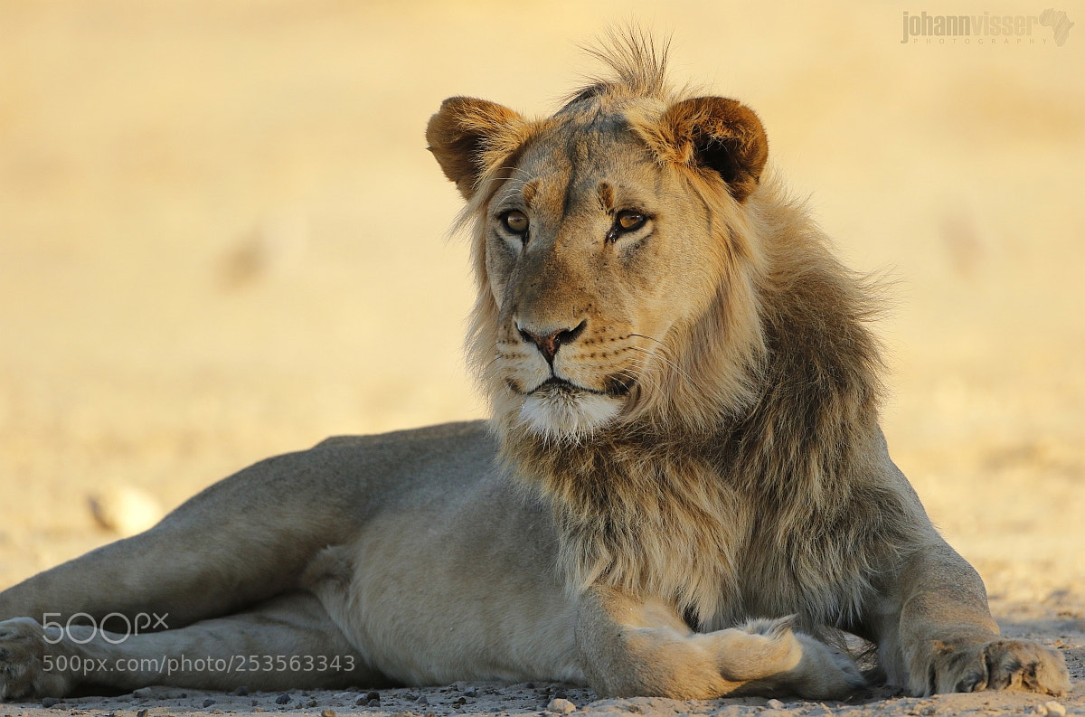 Canon EOS 7D Mark II sample photo. A nomad photography