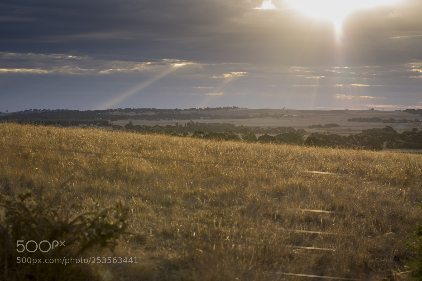 Nikon D600 sample photo. On the farm photography