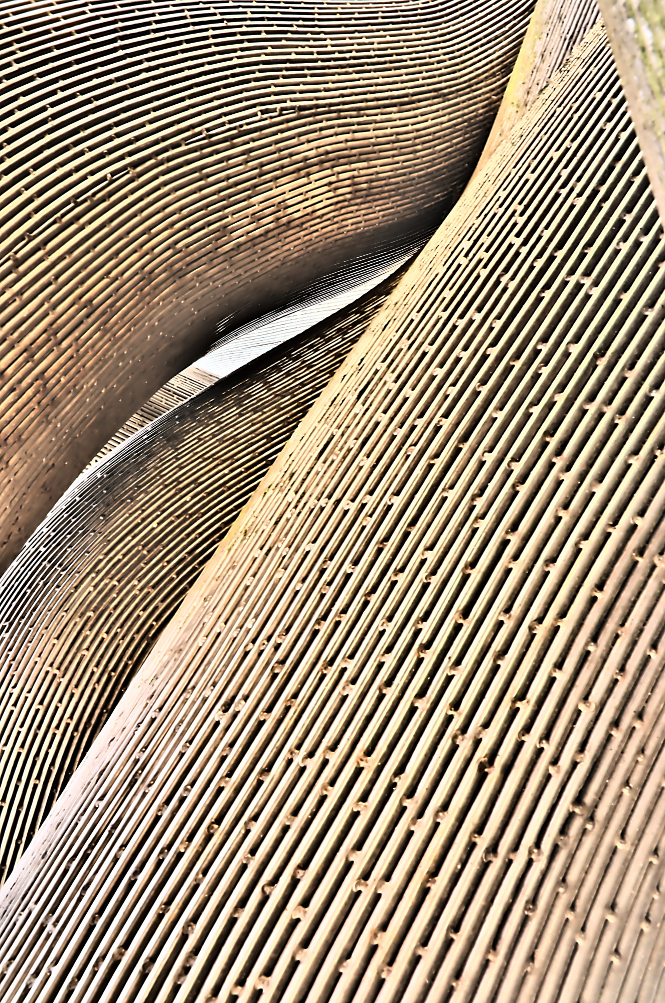 Sigma 17-70mm F2.8-4 DC Macro OS HSM | C sample photo. Steel boa photography