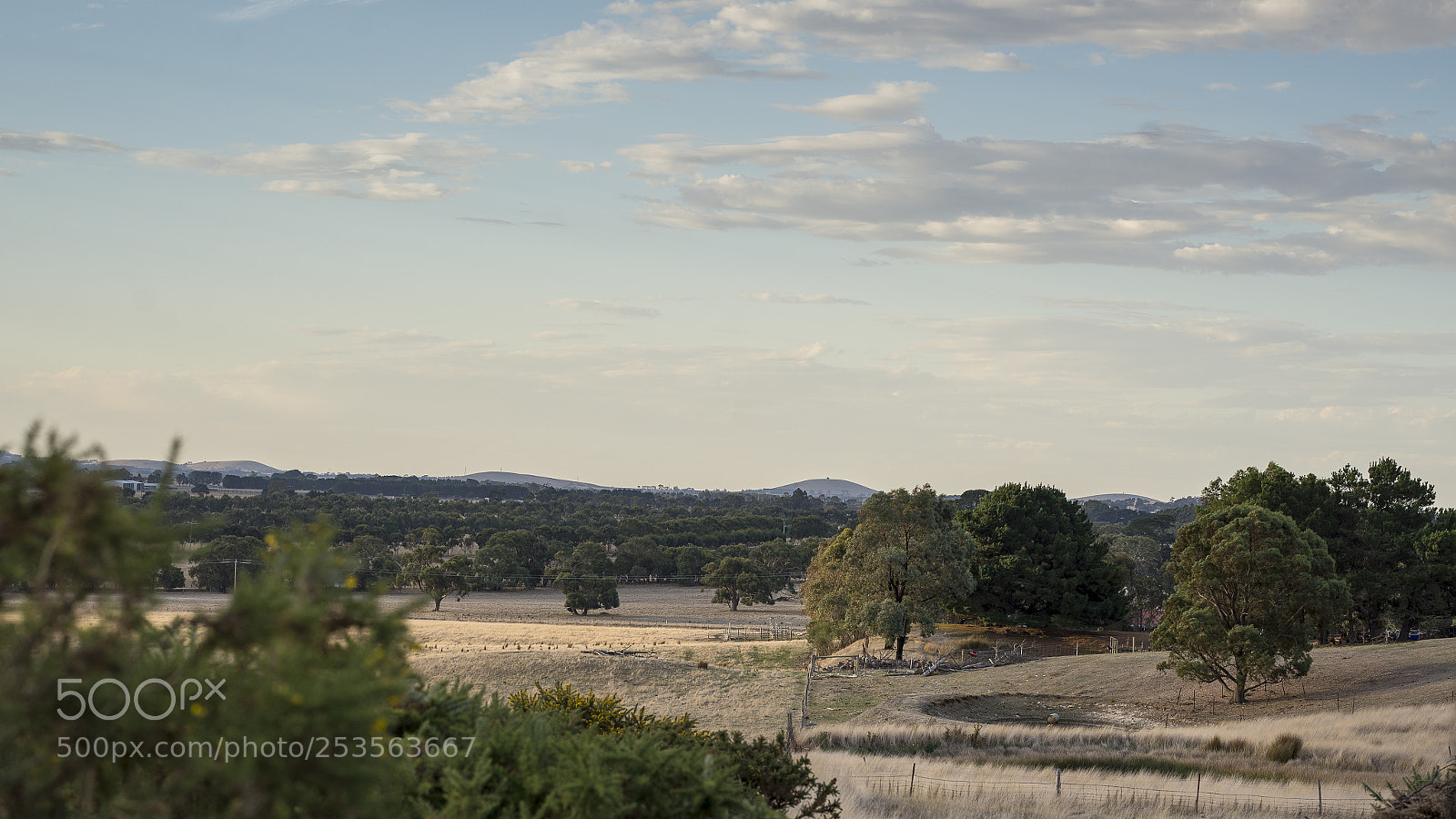 Nikon D600 sample photo. On the farm photography