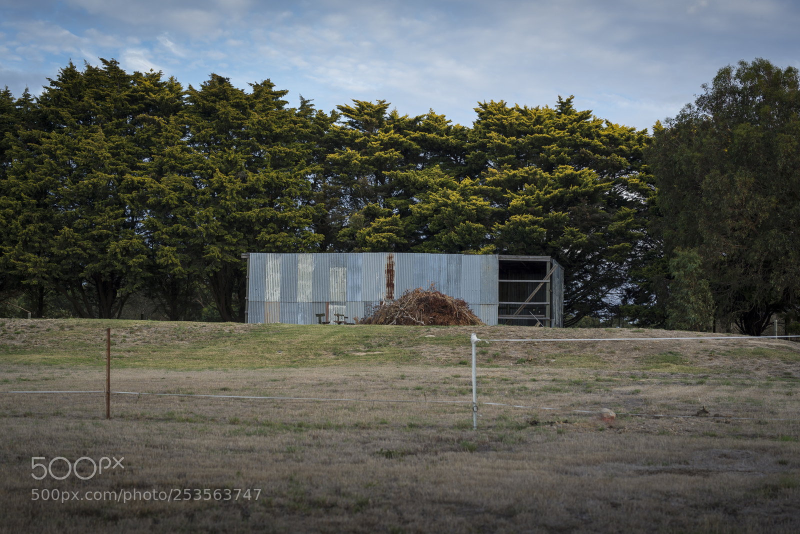 Nikon D600 sample photo. On the farm photography