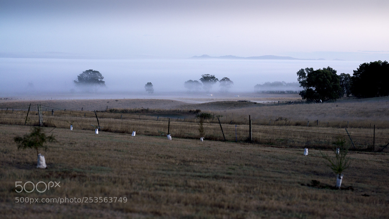 Nikon D600 sample photo. On the farm photography