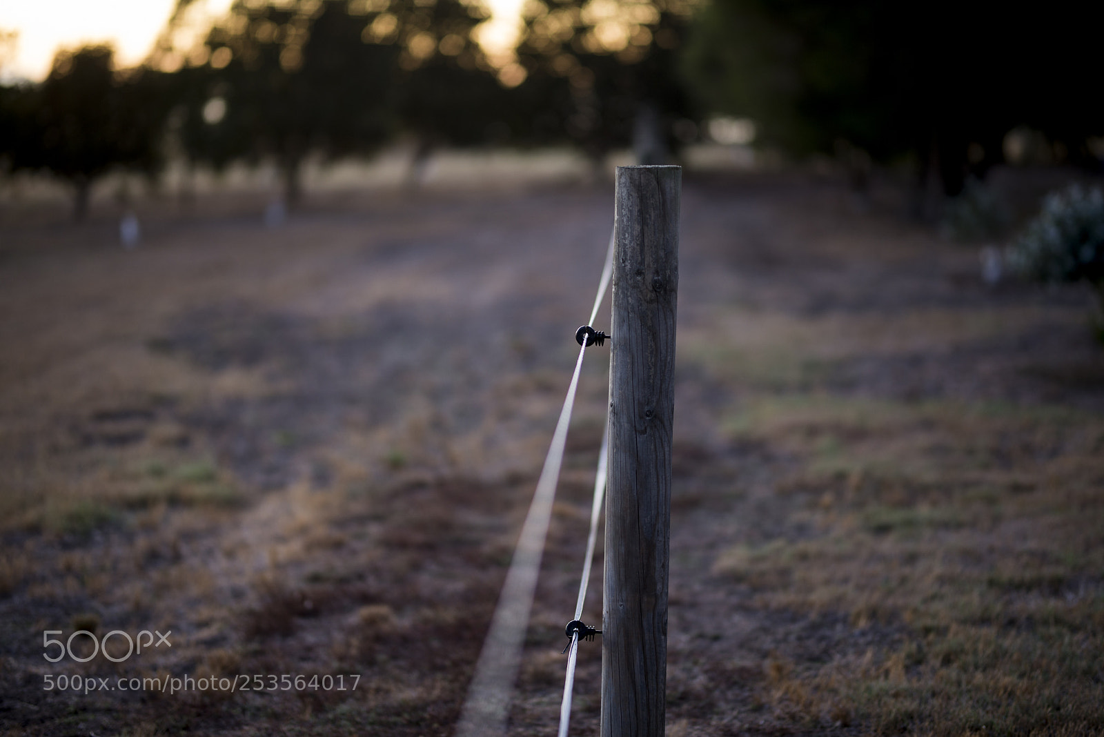 Nikon D600 sample photo. On the farm photography