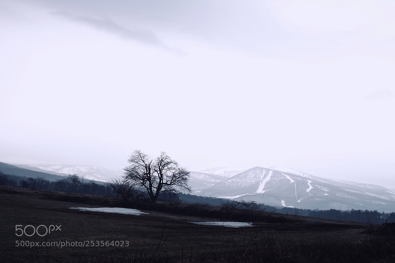 Sony Cyber-shot DSC-RX100 IV sample photo. Trail of winter photography