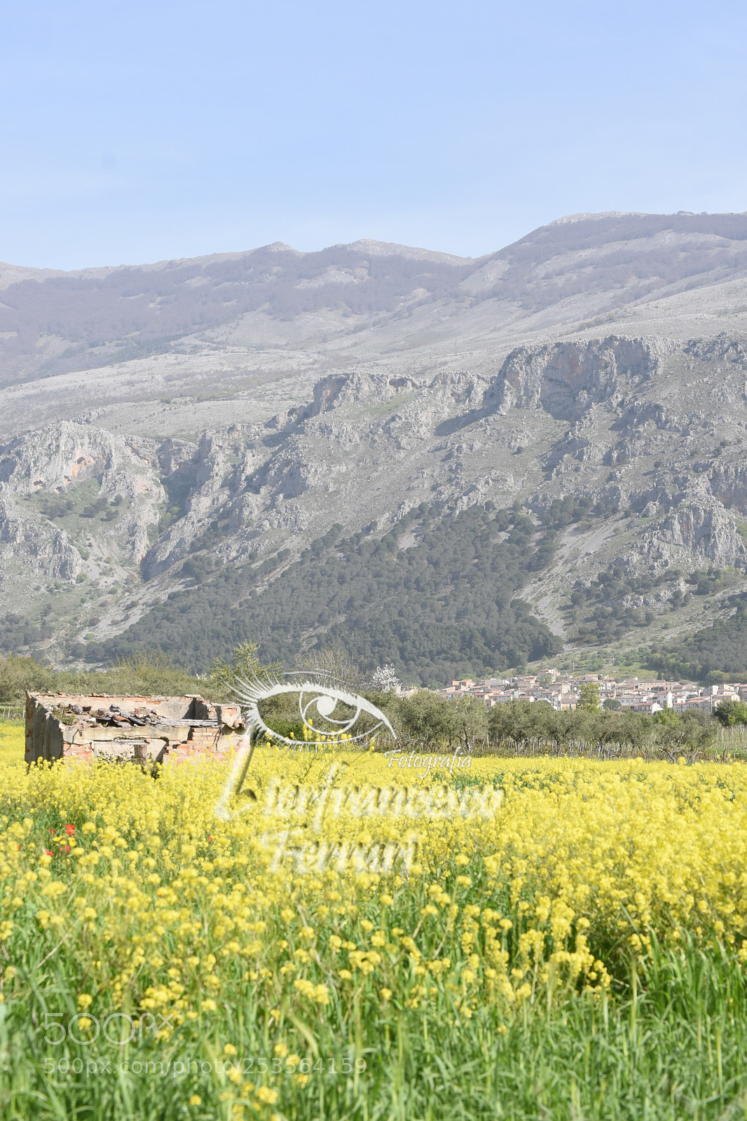 Nikon D7200 sample photo. In campagna a frascineto photography