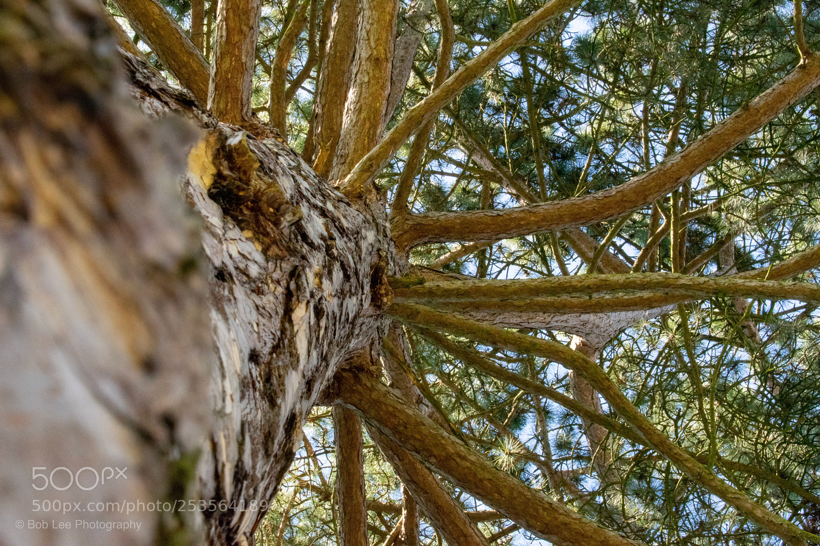 Nikon D3400 sample photo. Untitled photography