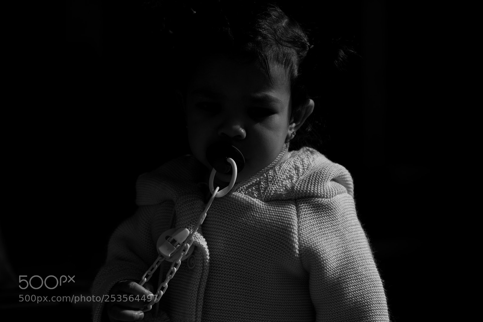 Nikon D850 sample photo. Untitled photography