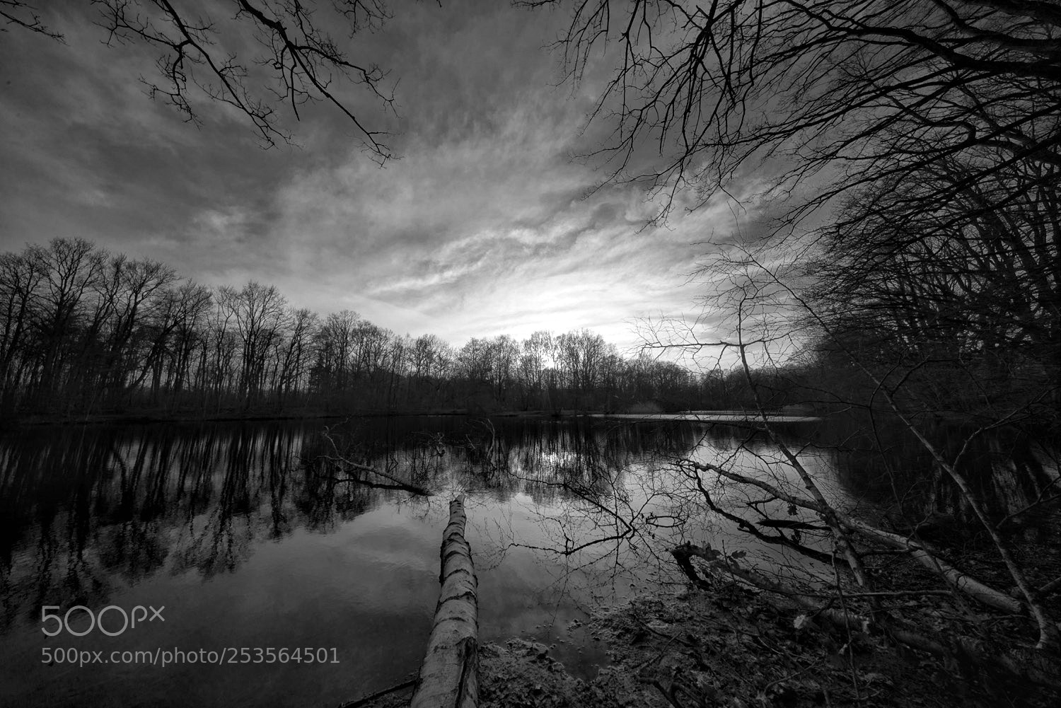 Sony a7R sample photo. Evening on the pond photography