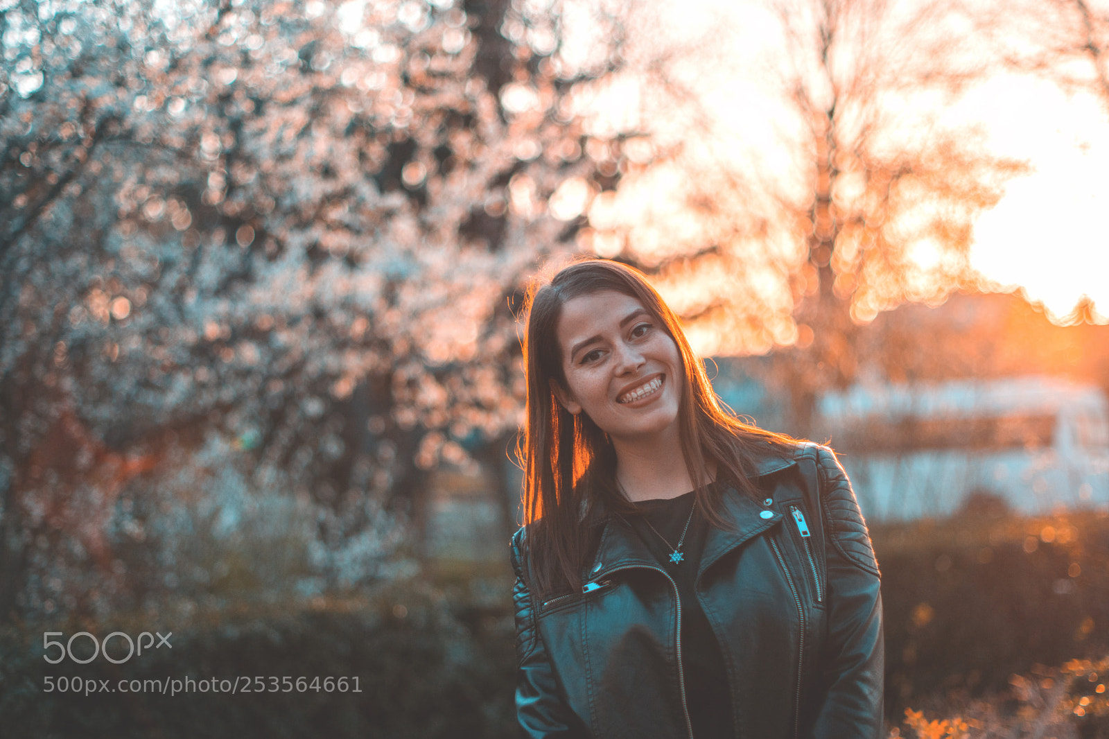 Nikon D5300 sample photo. Spring sunset  photography