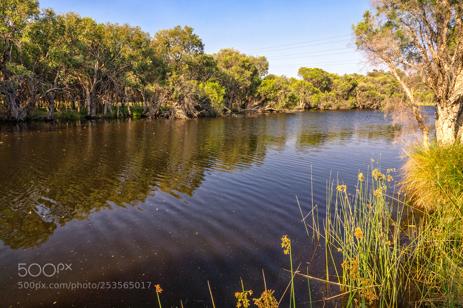 Canon EOS 5D sample photo. Woodloes walk - canning photography