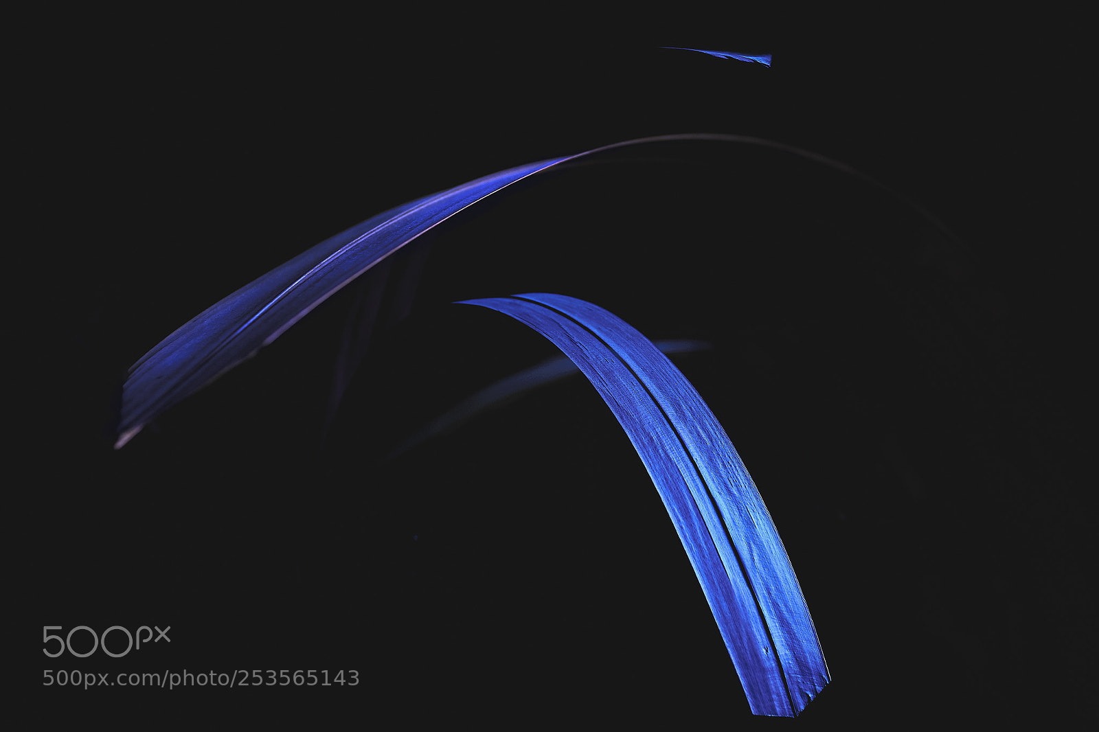Fujifilm X-T2 sample photo. Blue lines photography
