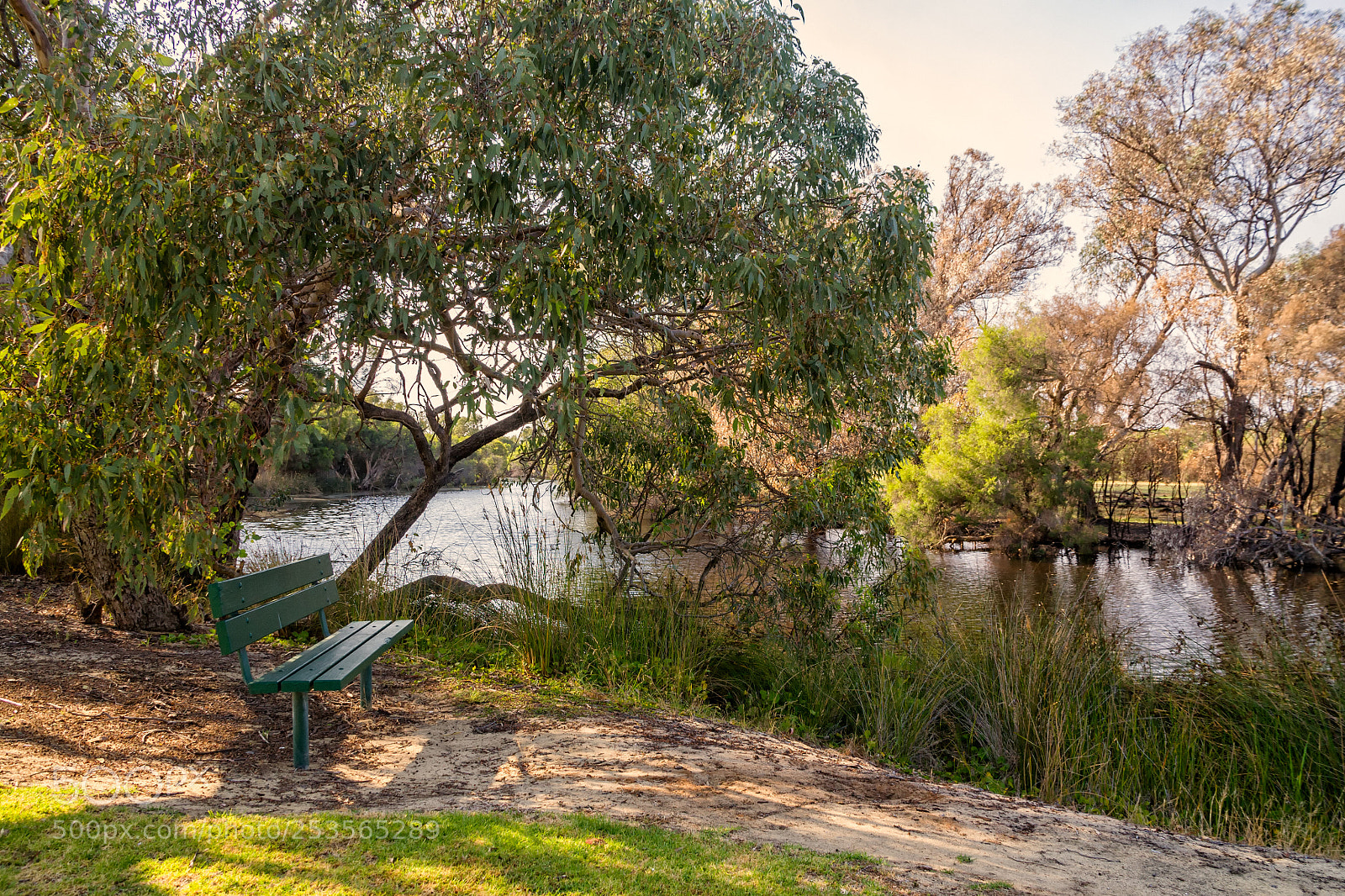 Canon EOS 5D sample photo. Woodloes walk - canning photography