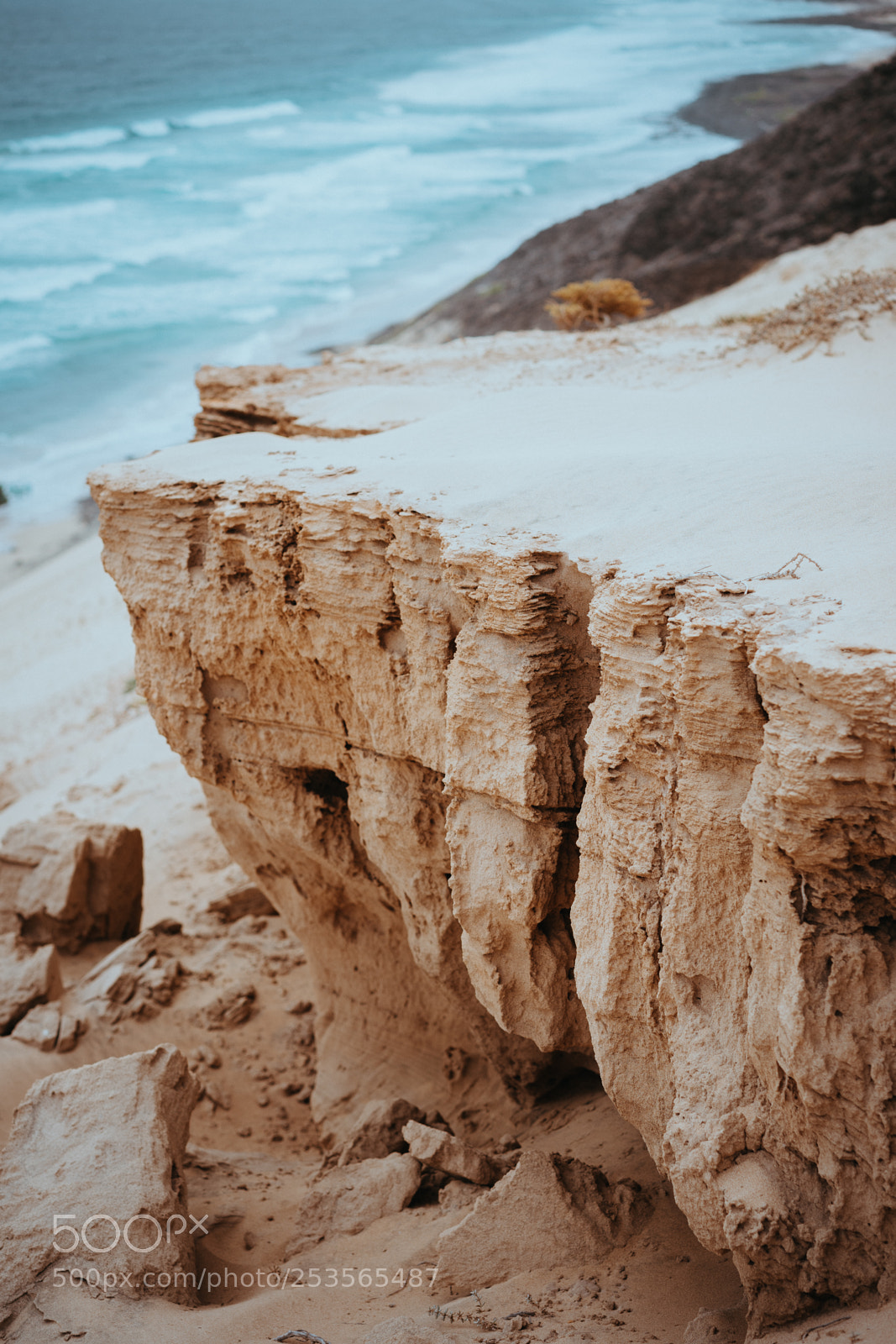 Sony a7 II sample photo. Mysterious landscape of dry photography