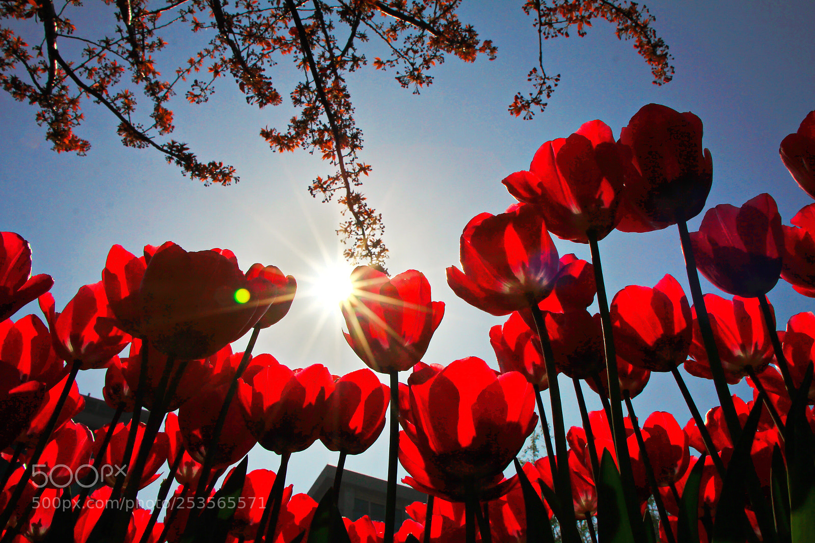 Canon EOS 60D sample photo. Untitled photography