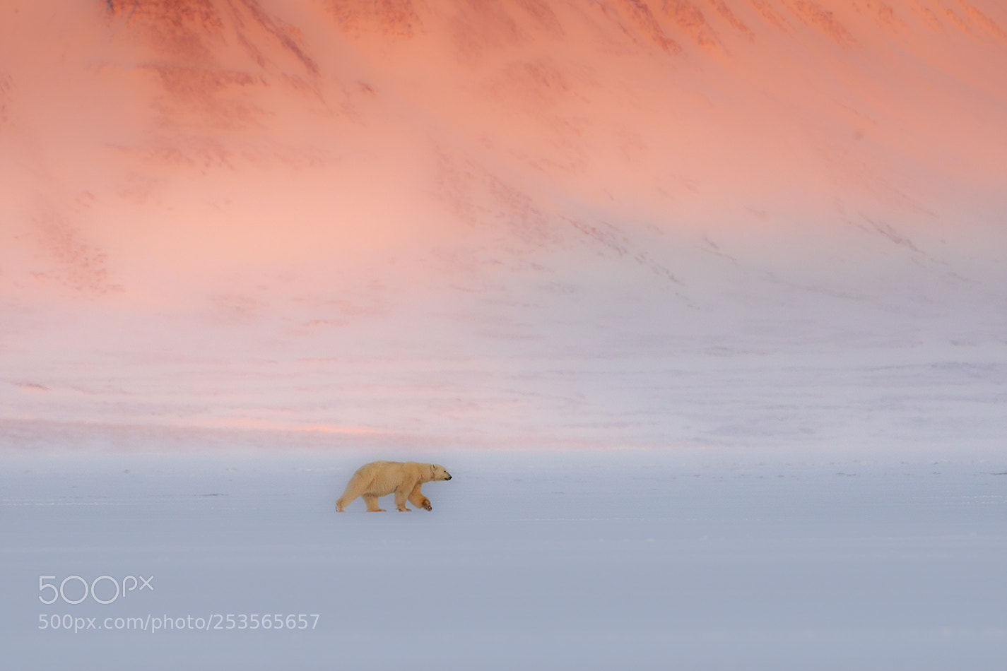 Canon EOS 5D Mark IV sample photo. Arctic sunset photography