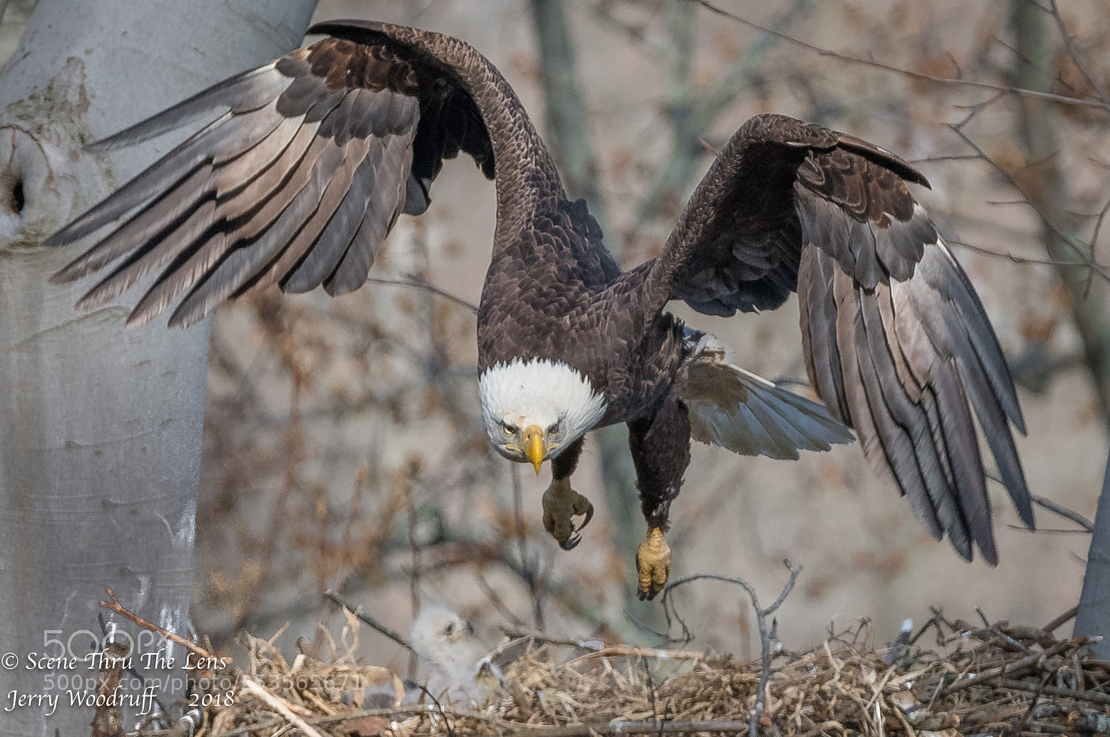 Nikon D850 sample photo. Angry mom photography