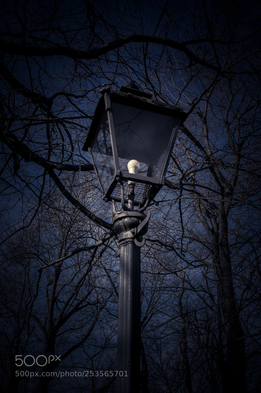 Sony Cyber-shot DSC-RX1 sample photo. Street lamp in front photography