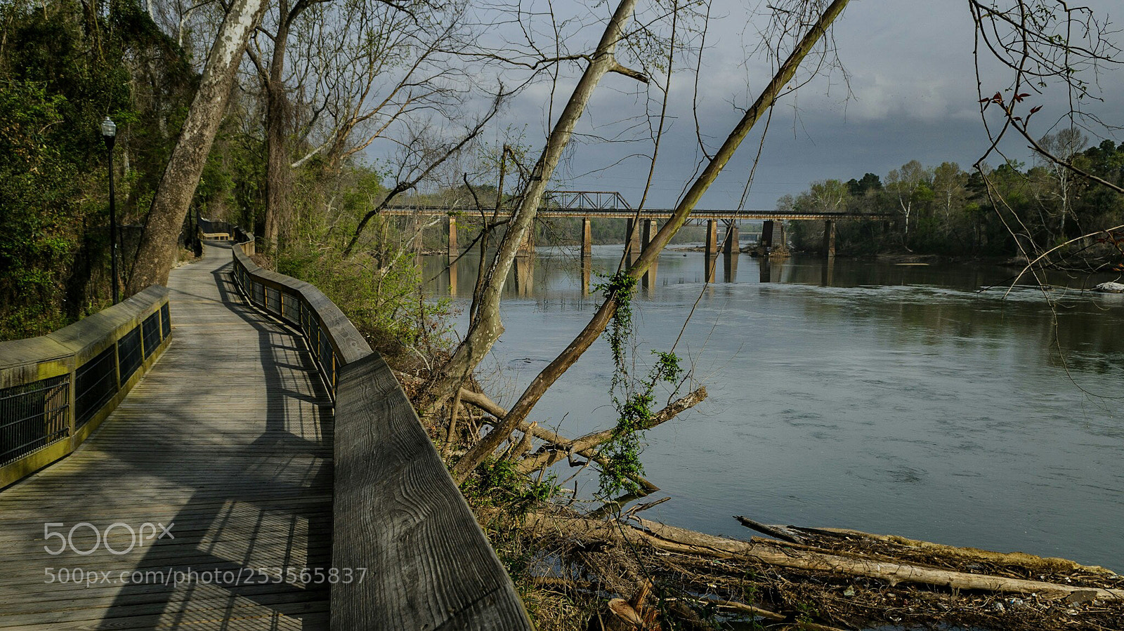 Nikon D7000 sample photo. Balmy day, sweet sangria photography