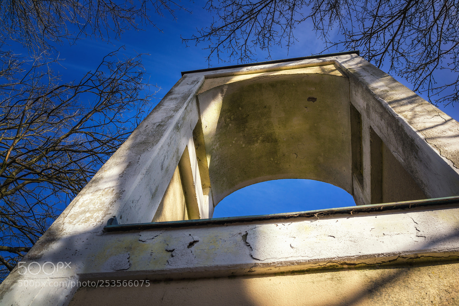 Sony Cyber-shot DSC-RX1 sample photo. Low angle view to photography