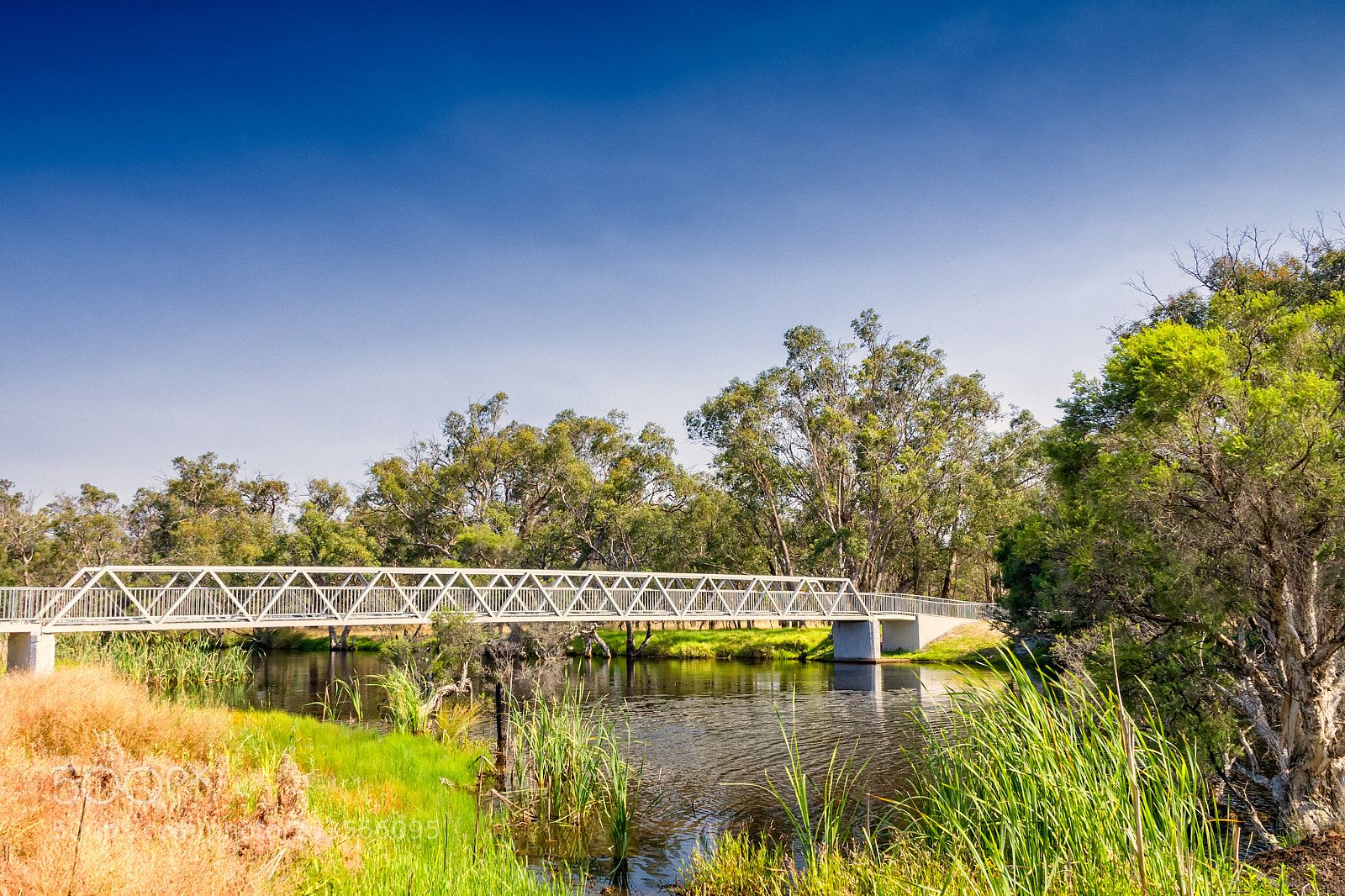 Canon EOS 5D sample photo. Woodloes walk - canning photography