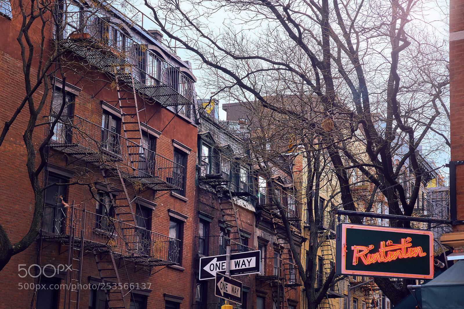 Sony ILCA-77M2 sample photo. Nyc - rintintin photography