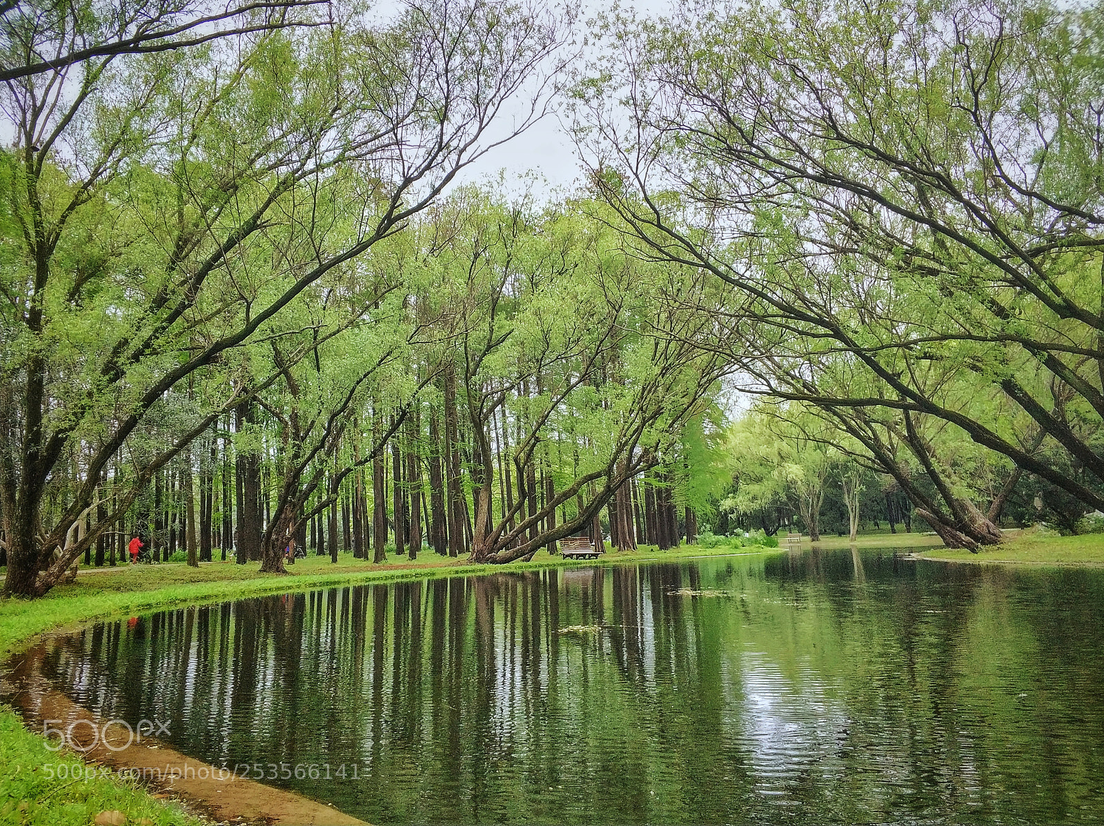 Xiaomi MI6 sample photo. Untitled photography