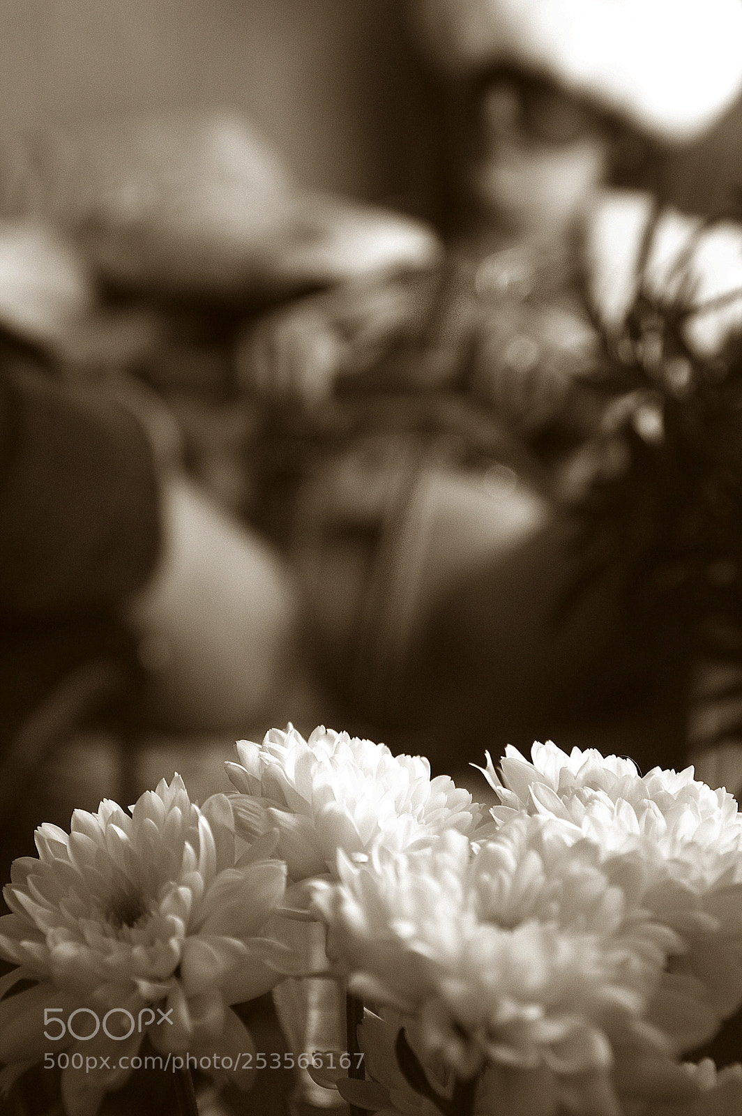 Pentax K-3 sample photo. Untitled photography