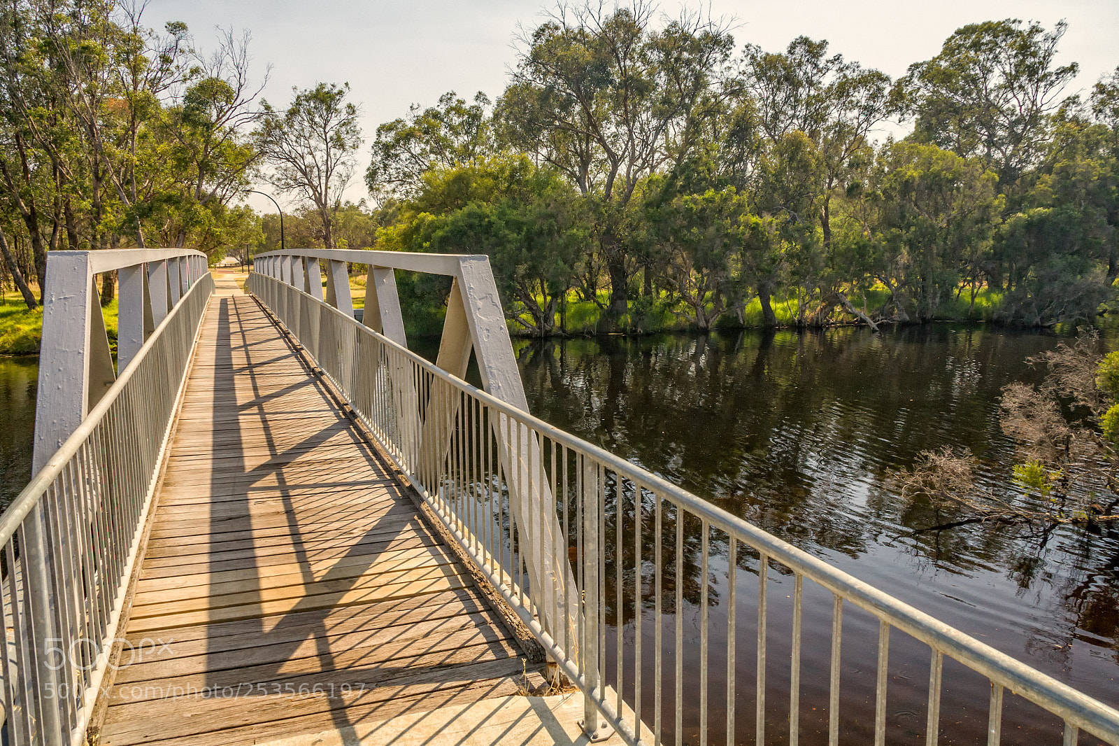Canon EOS 5D sample photo. Woodloes walk - canning photography