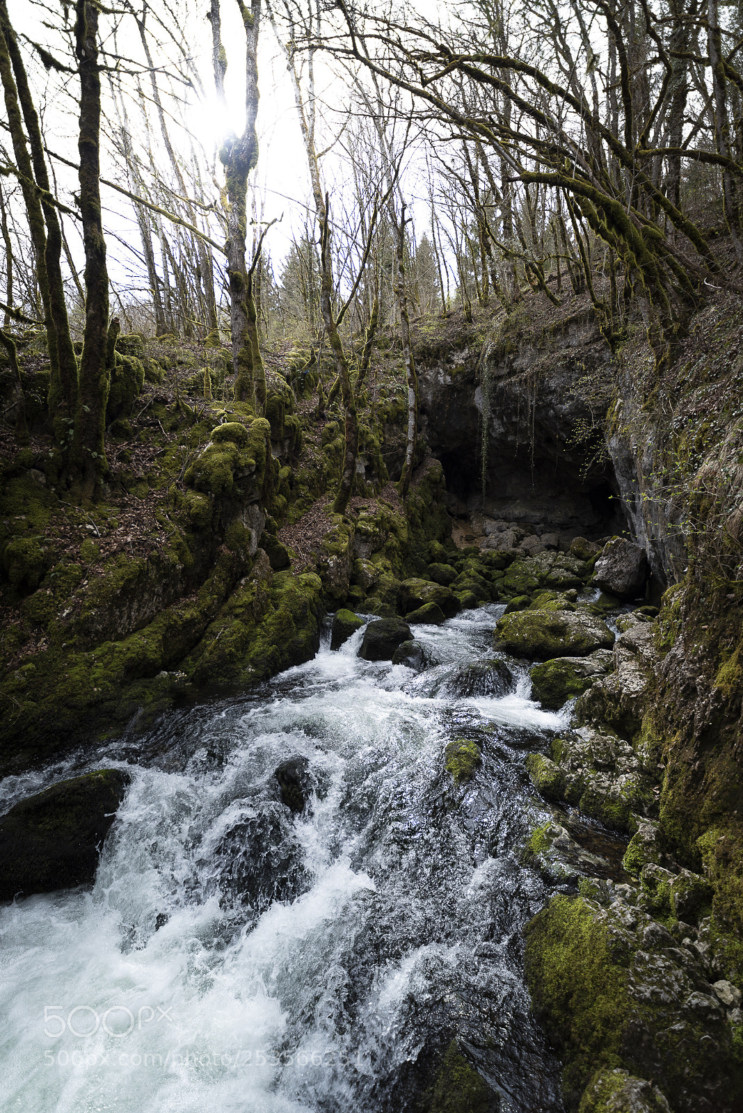 Nikon D810 sample photo. De nul part ! photography
