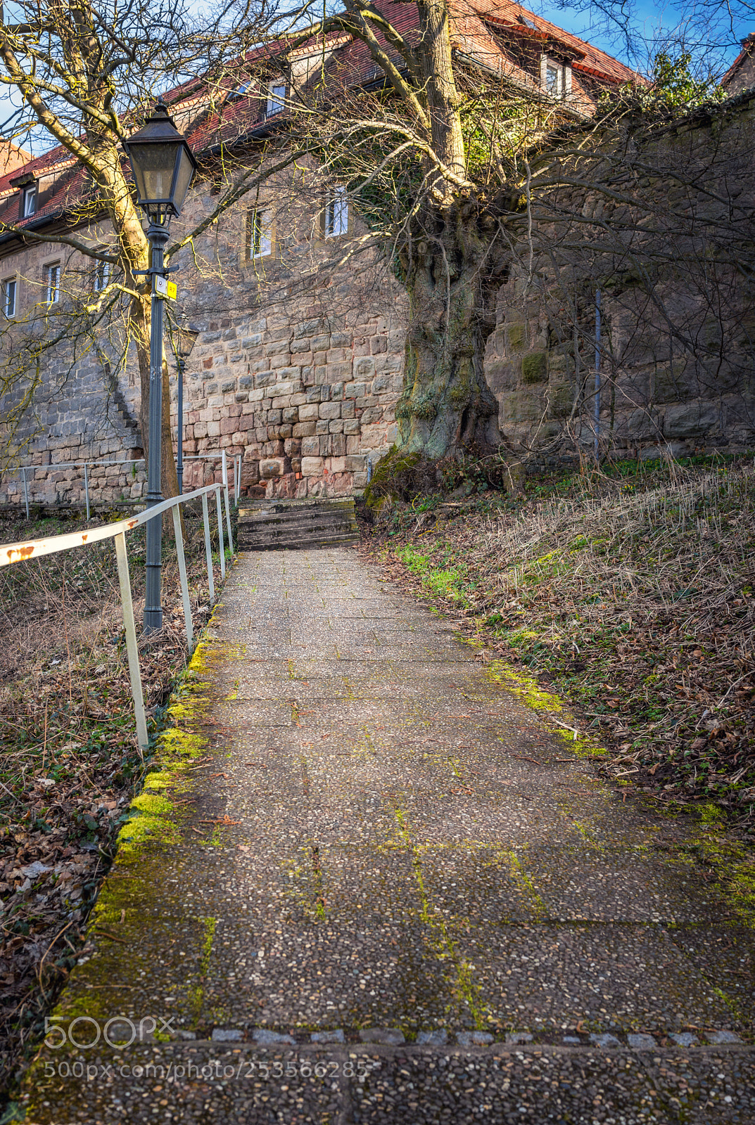Sony Cyber-shot DSC-RX1 sample photo. Footpath to an old photography