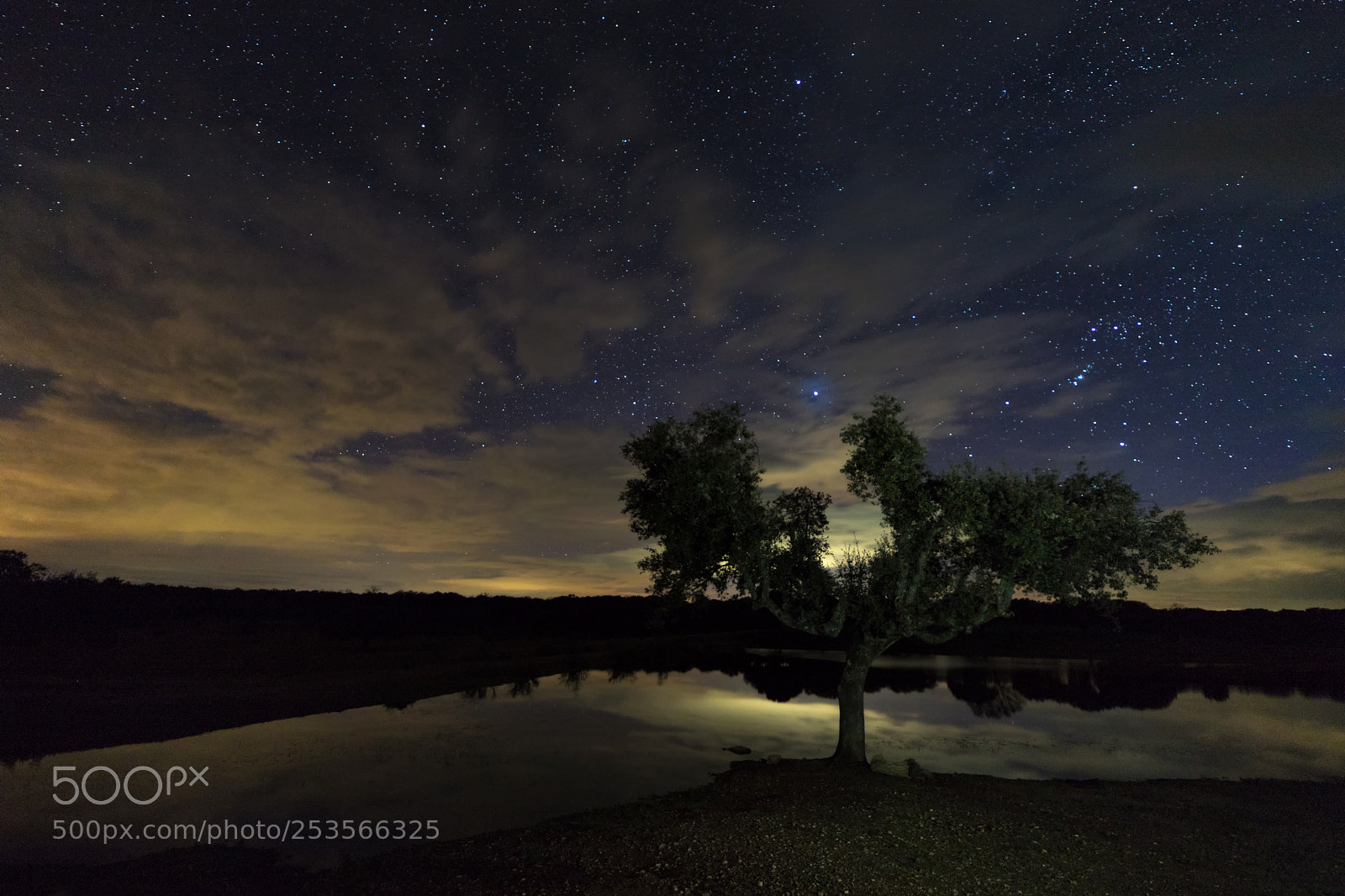 Canon EOS 6D Mark II sample photo. Santiba ez el bajo photography