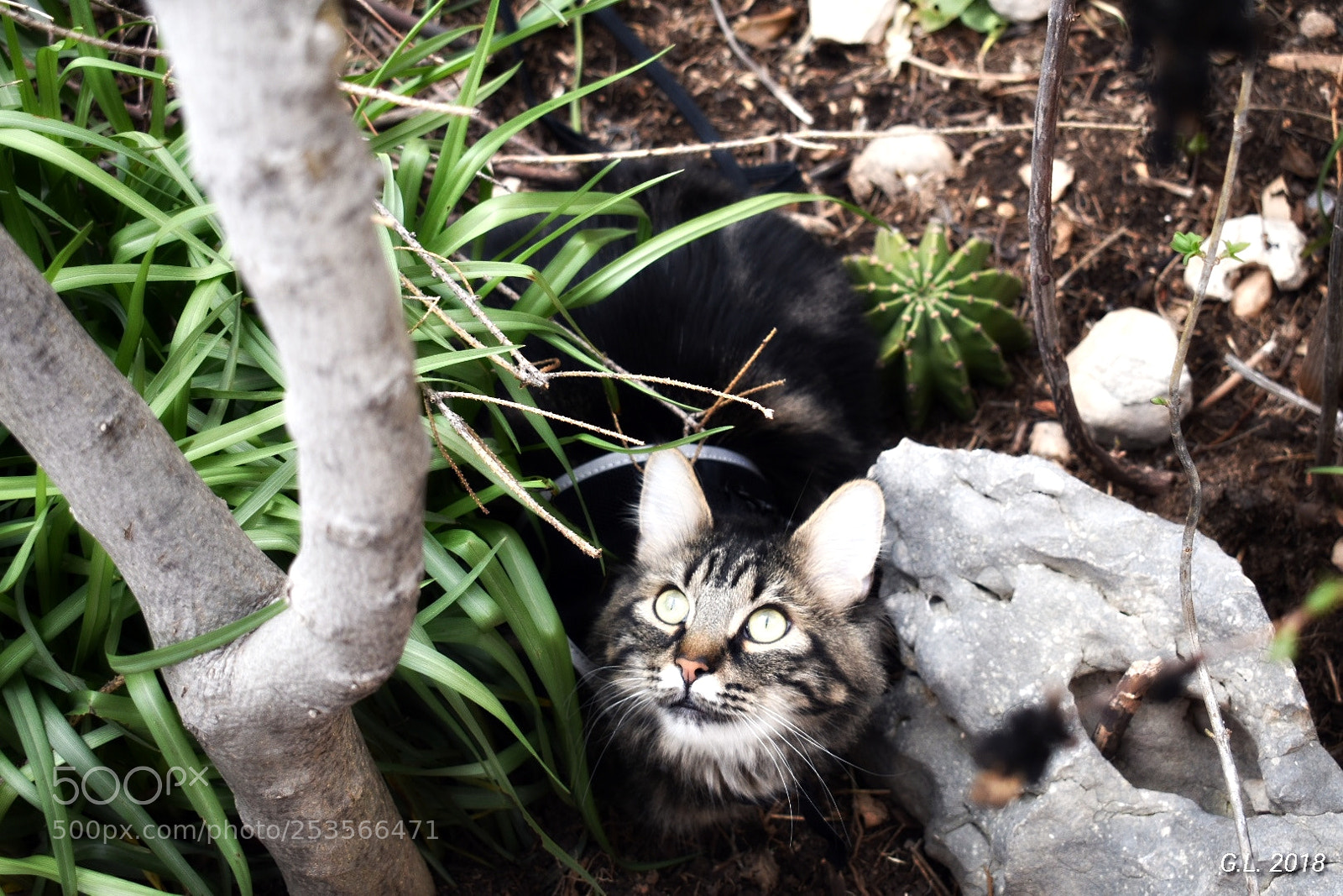 Nikon D3400 sample photo. Untitled photography
