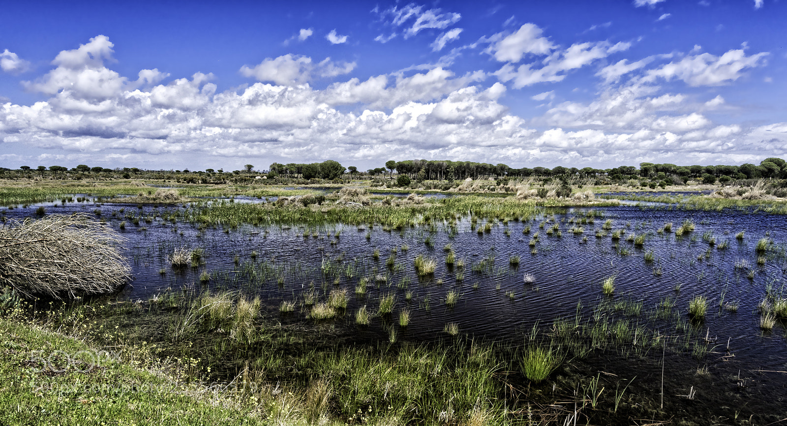 Nikon D500 sample photo. Desde el mirador photography