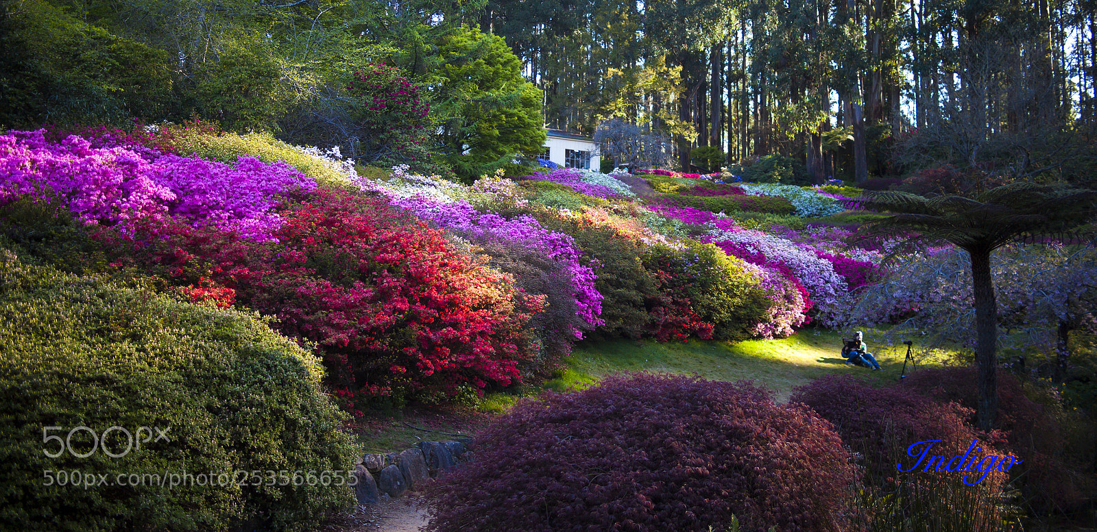 Canon EOS-1Ds Mark II sample photo. Australia beauty photography