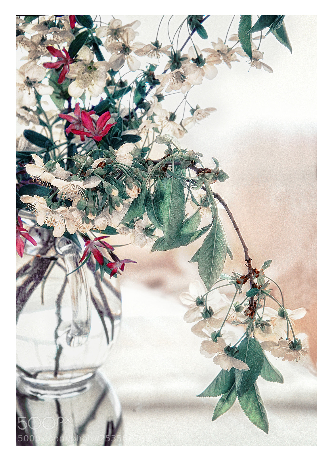Nikon D610 sample photo. Spring mood photography