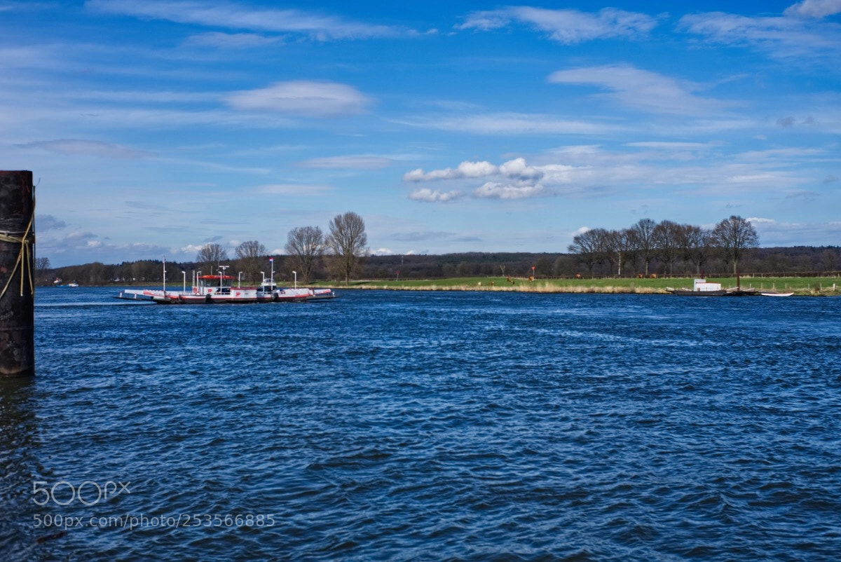 Sony a7 II sample photo. 39 /365  photography