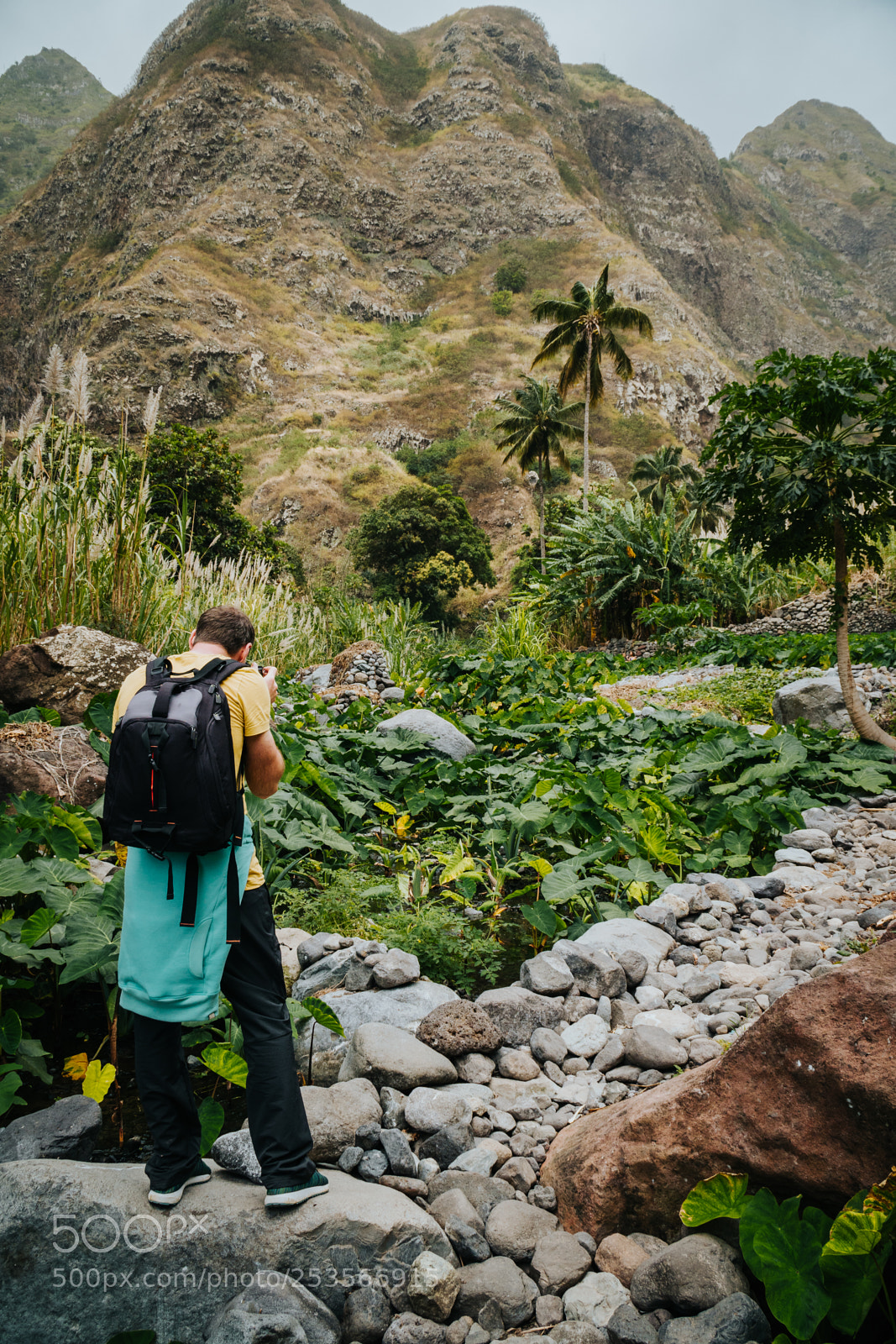 Sony a6500 sample photo. Male photographer in verdant photography