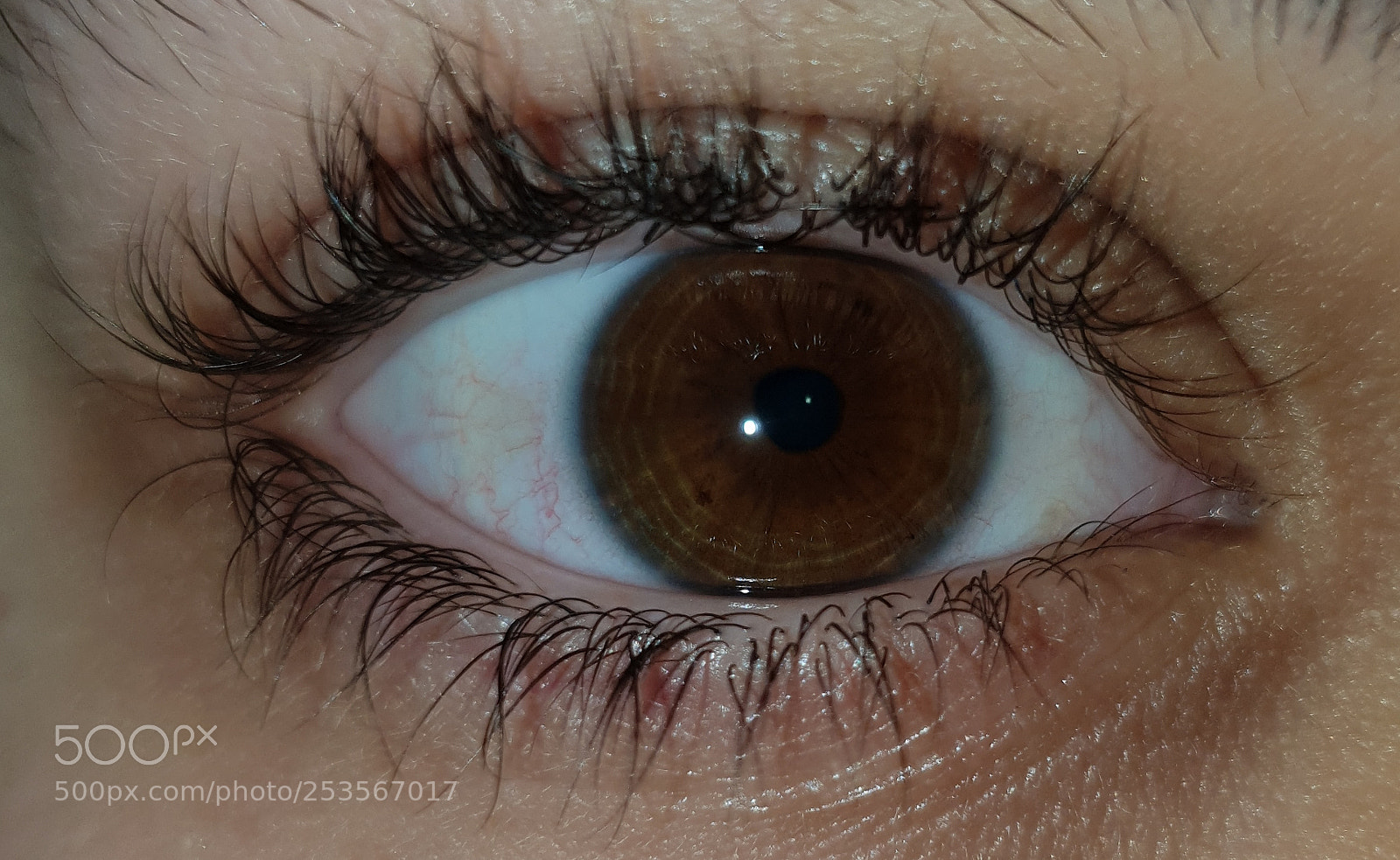 Samsung Galaxy S9+ sample photo. Untitled photography