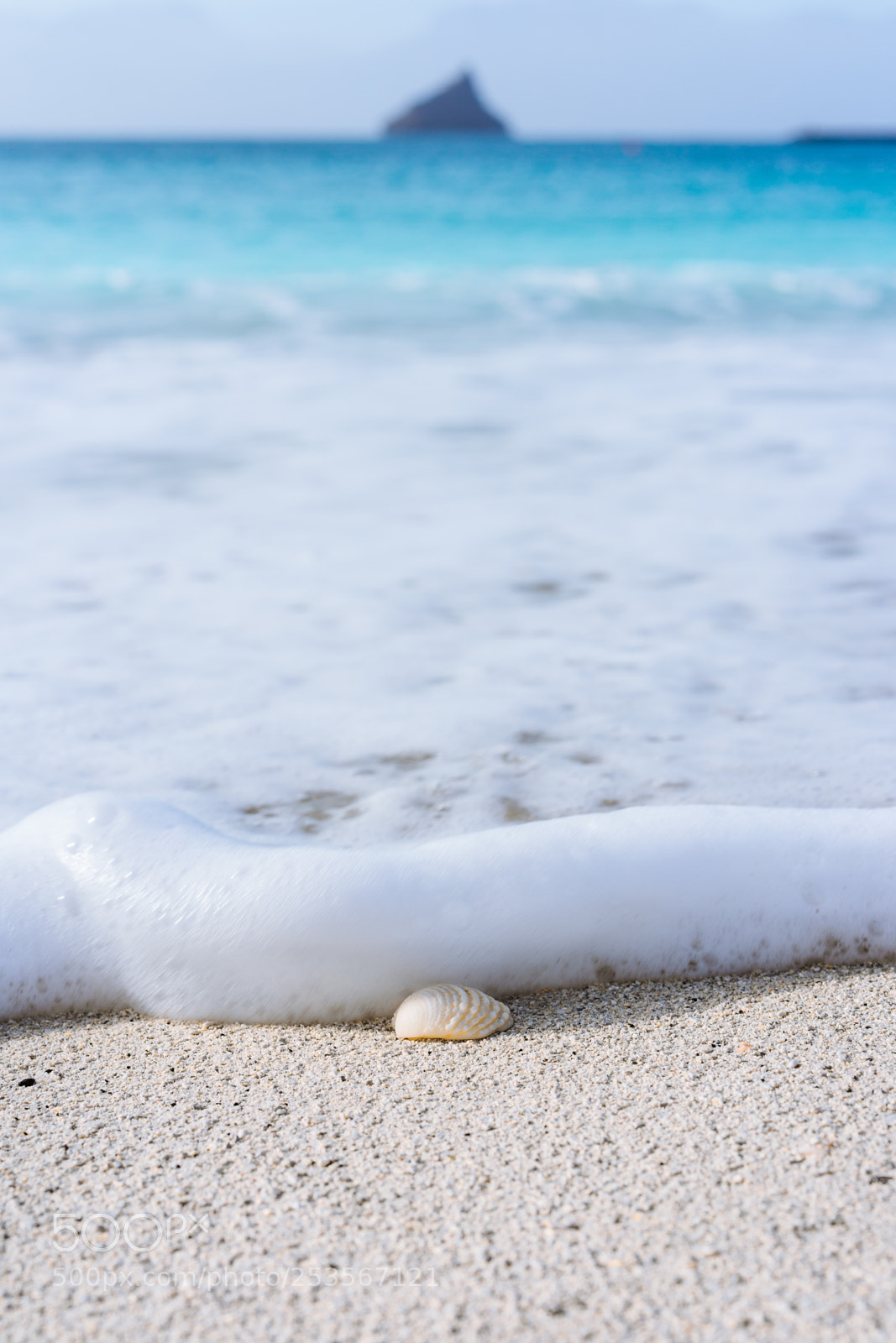 Sony a7 II sample photo. Seashell on sandy beach photography