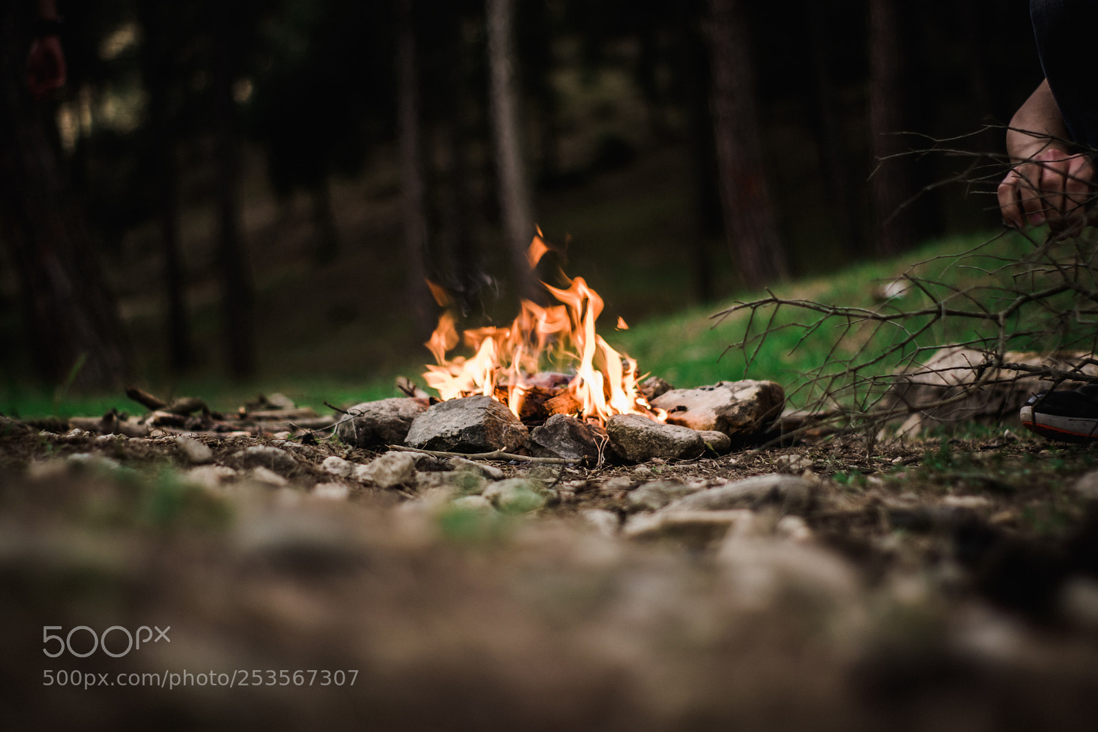 Nikon D5300 sample photo. Campfire photography