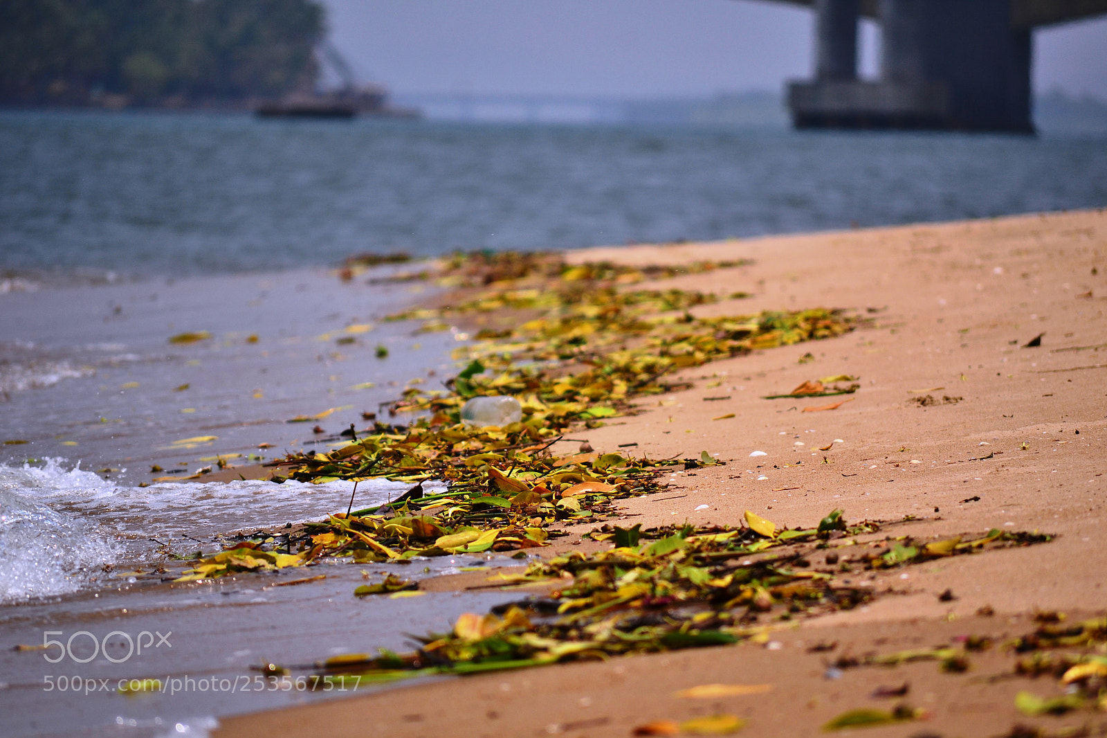 Nikon D3100 sample photo. Untitled photography