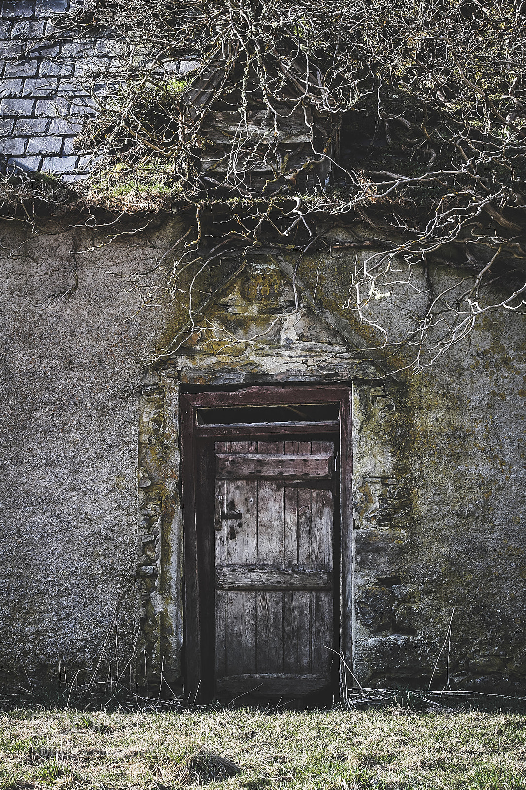 Canon EOS 1300D (EOS Rebel T6 / EOS Kiss X80) sample photo. Derelict door photography