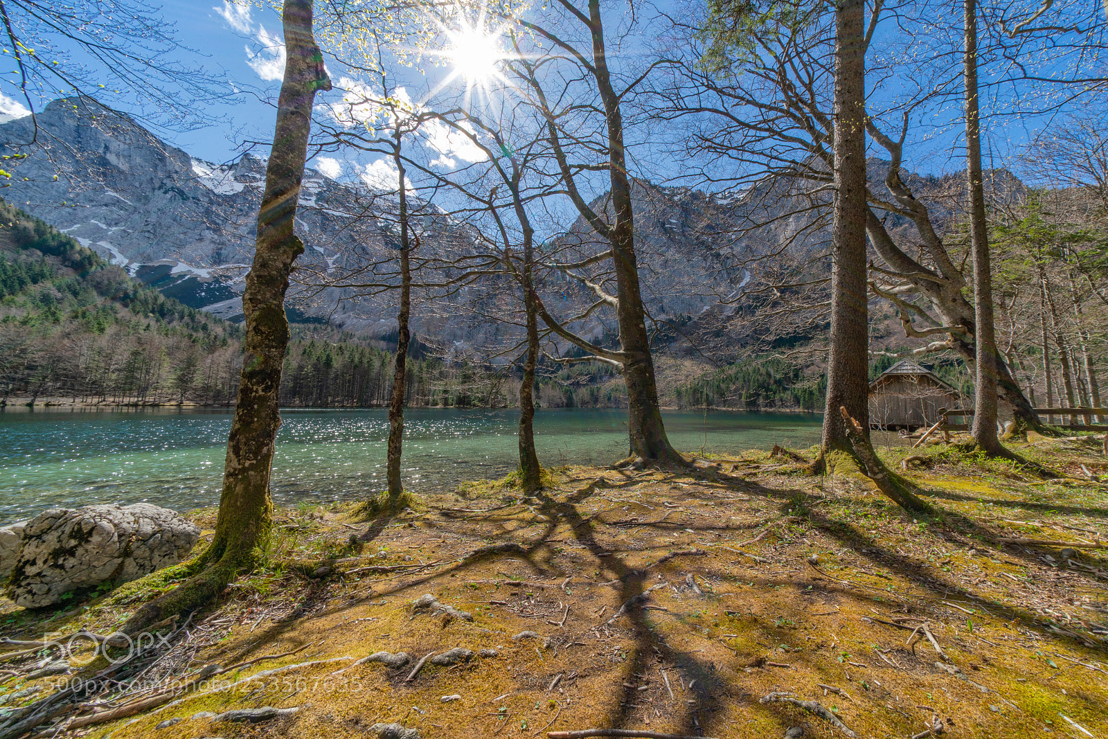 Sony a7R II sample photo. Frühling im salzkammergutii photography