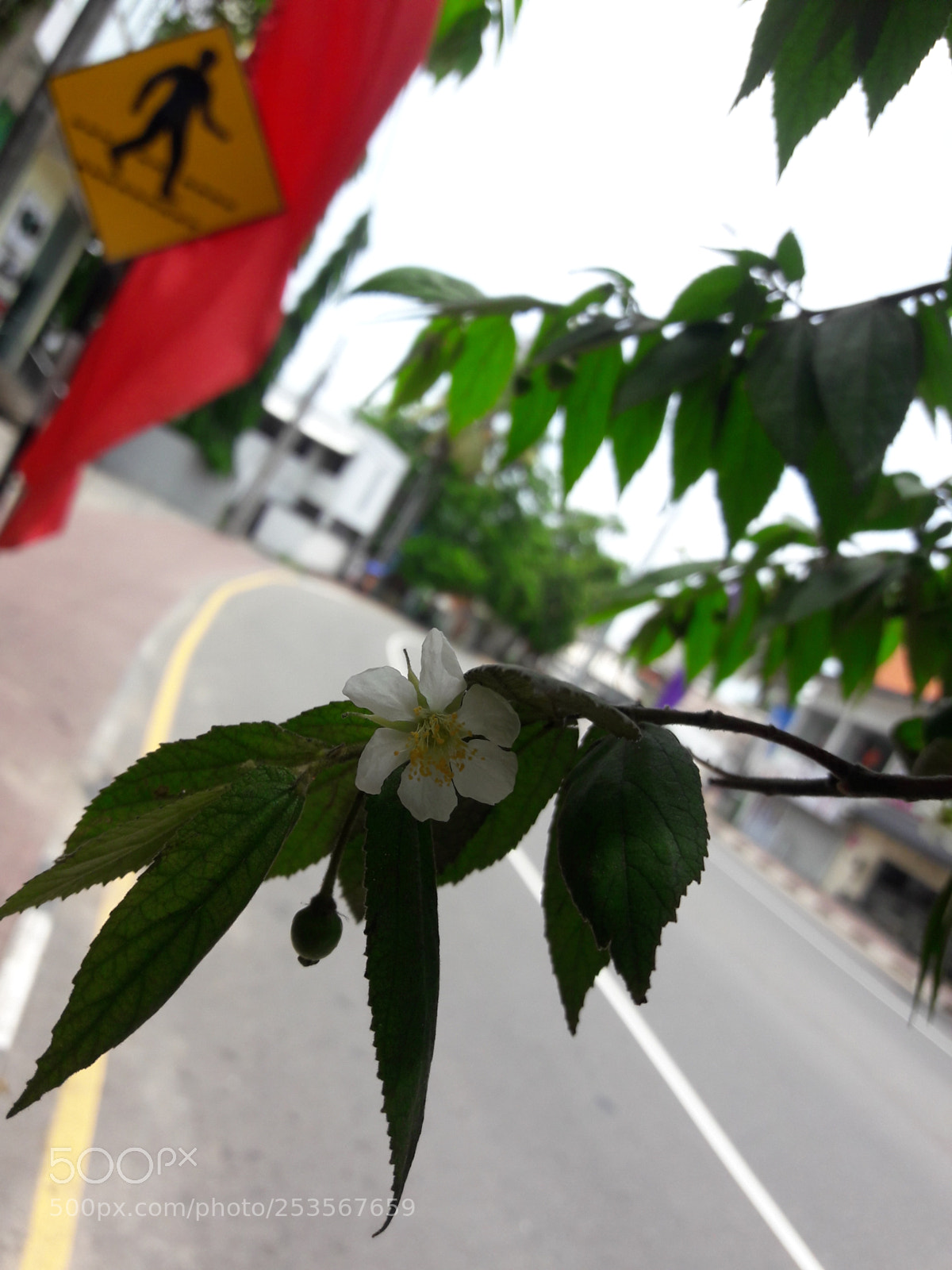 Samsung Galaxy J7 sample photo. Untitled photography
