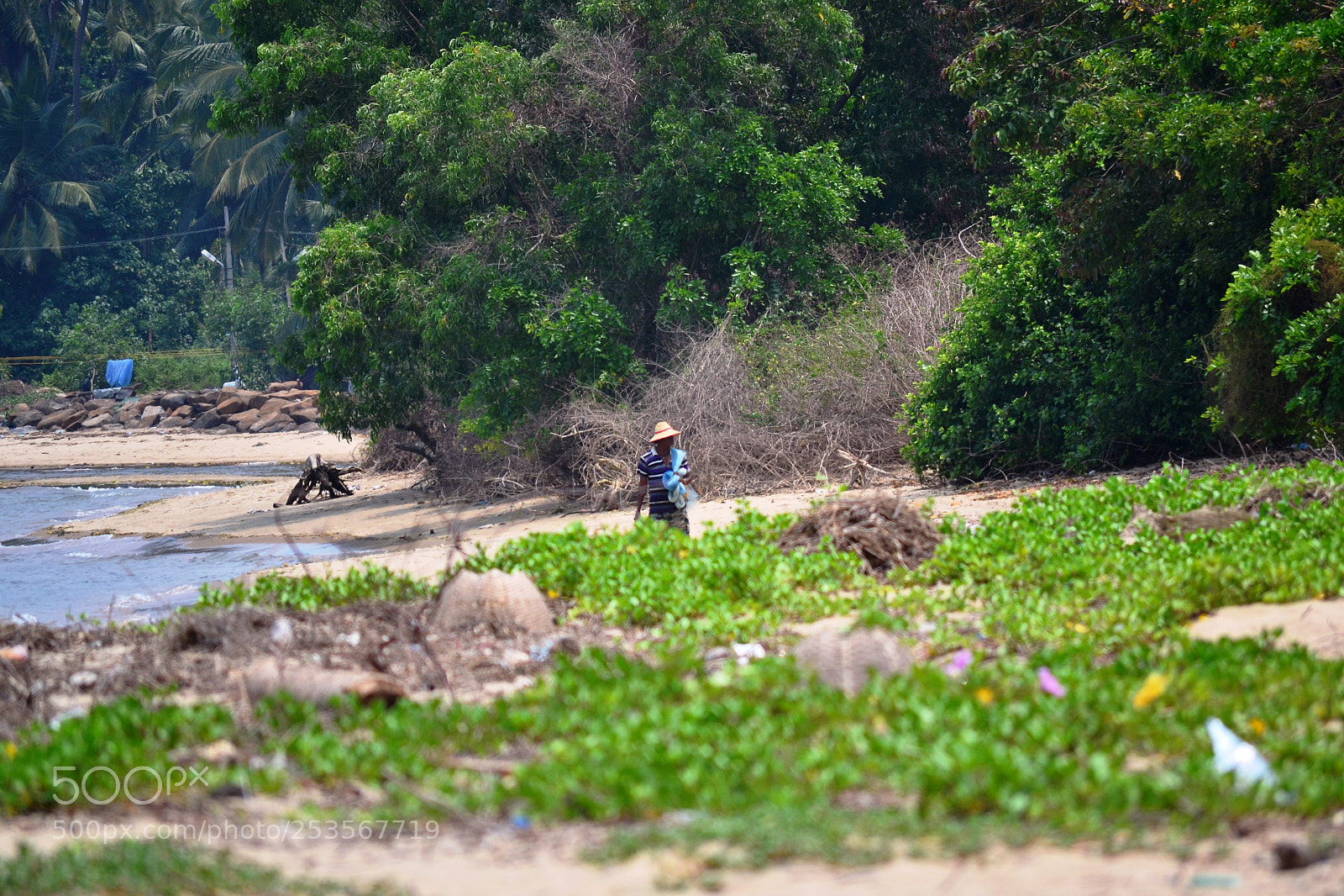 Nikon D3100 sample photo. Untitled photography