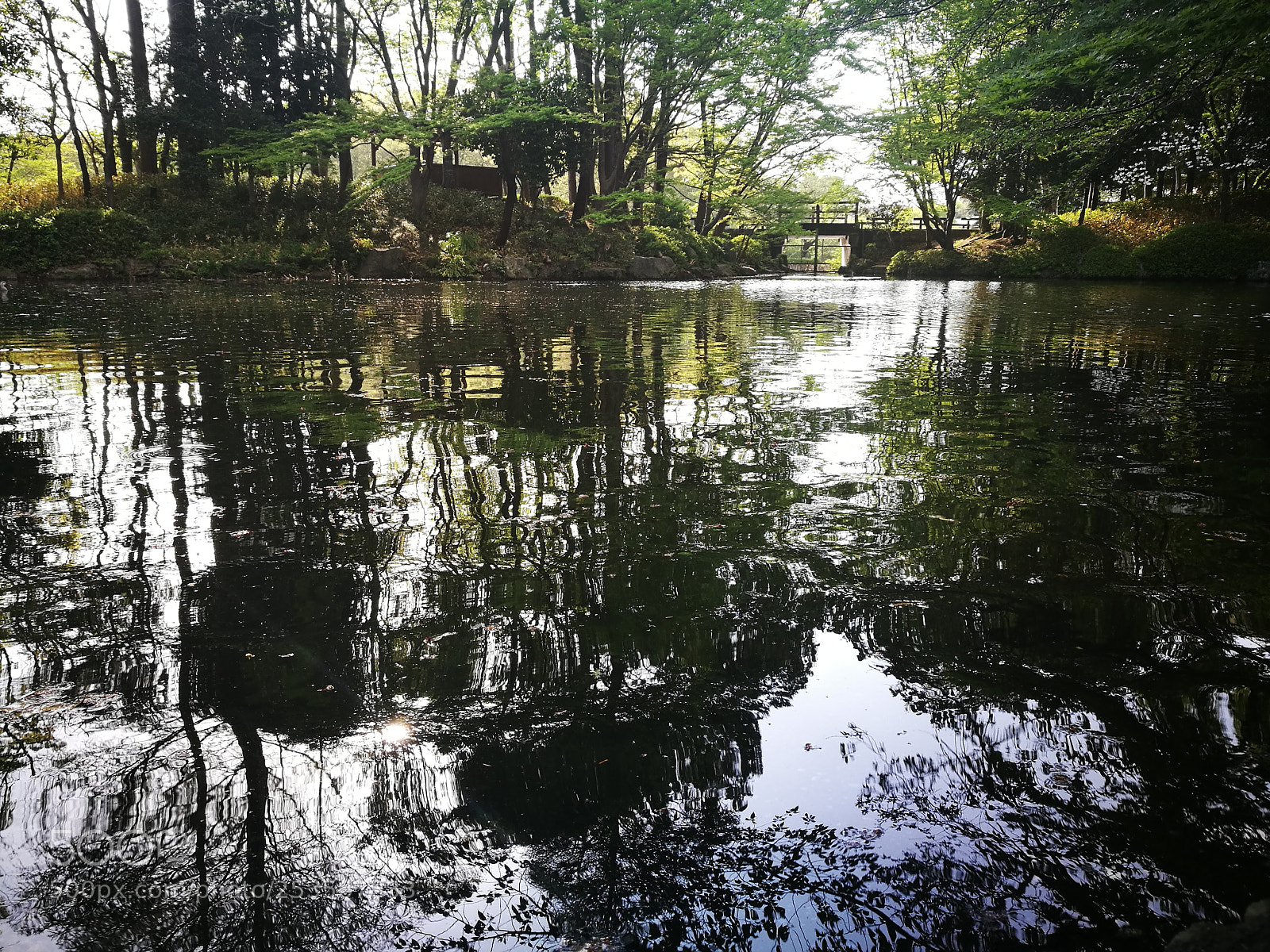 HUAWEI P9 sample photo. Japan lake photography
