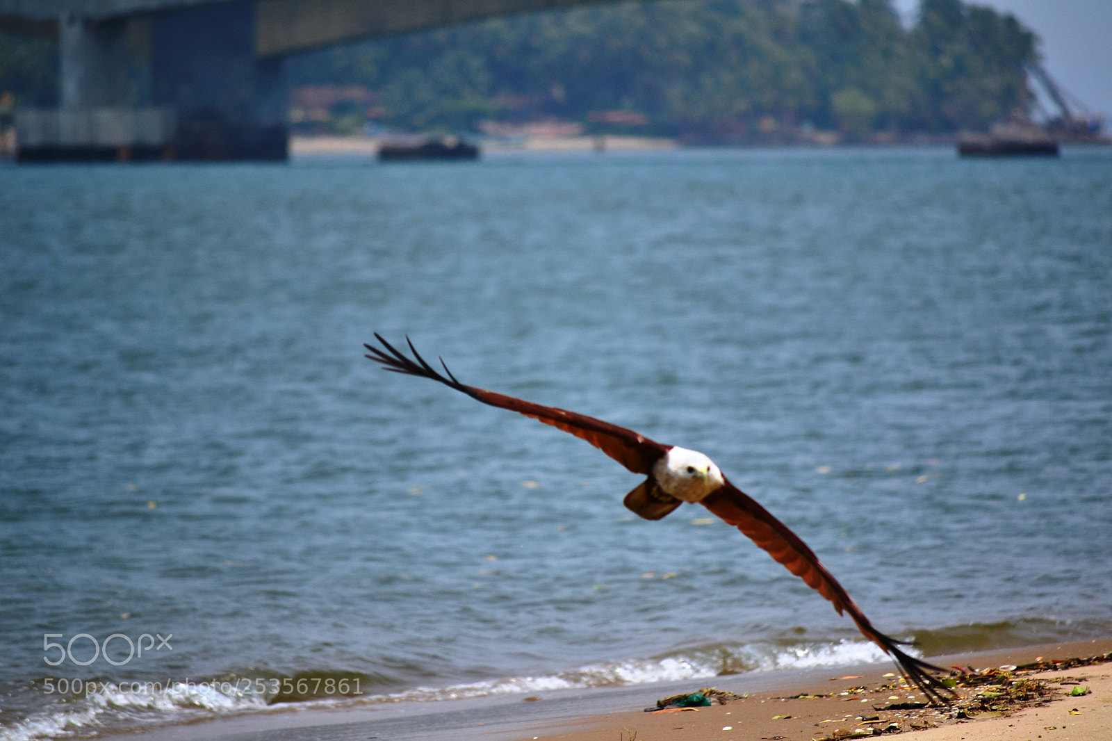 Nikon D3100 sample photo. Untitled photography