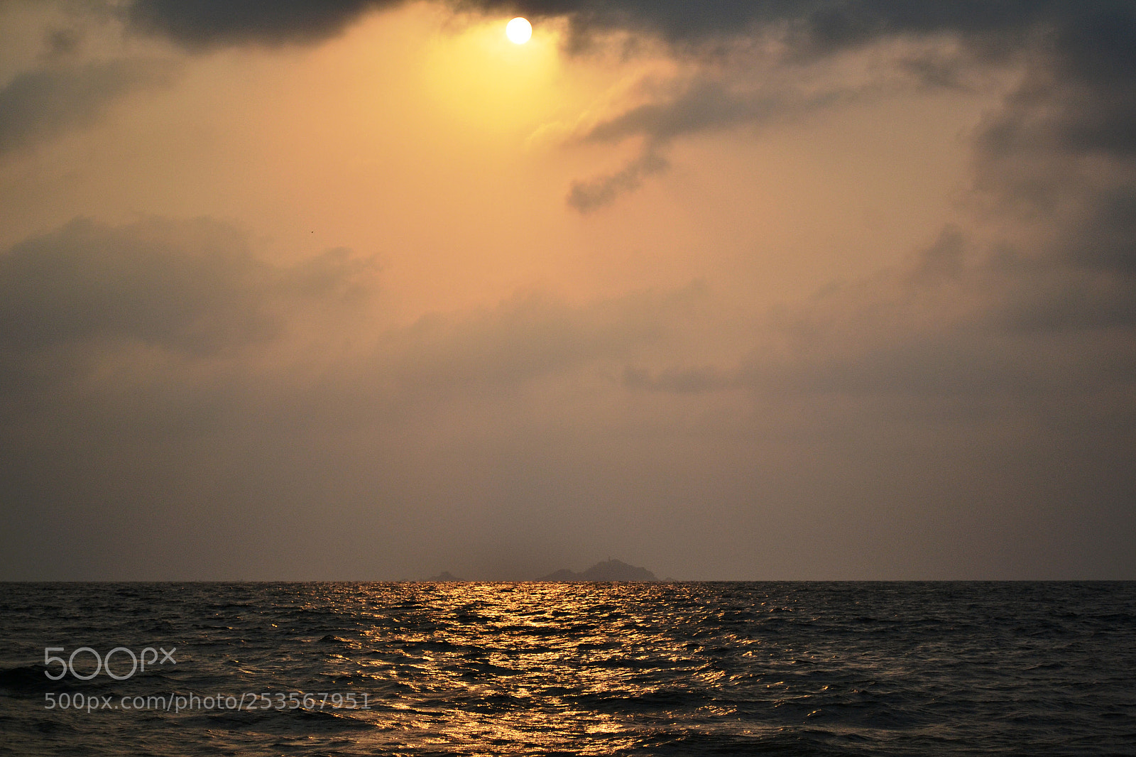 Nikon D3100 sample photo. Untitled photography