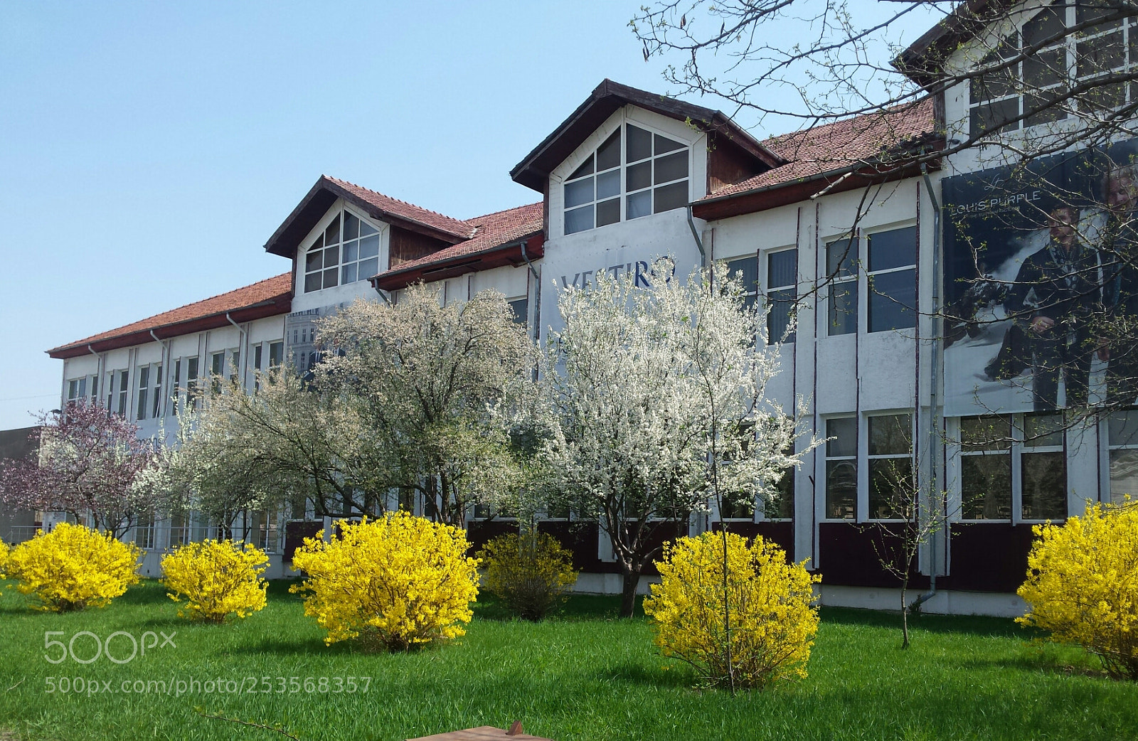 Samsung Galaxy S4 sample photo. Colors of spring photography