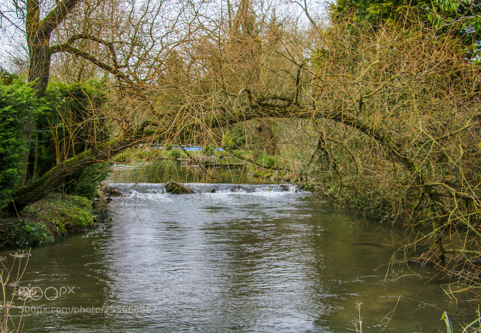 Canon EOS 70D sample photo. Stream in the woods photography